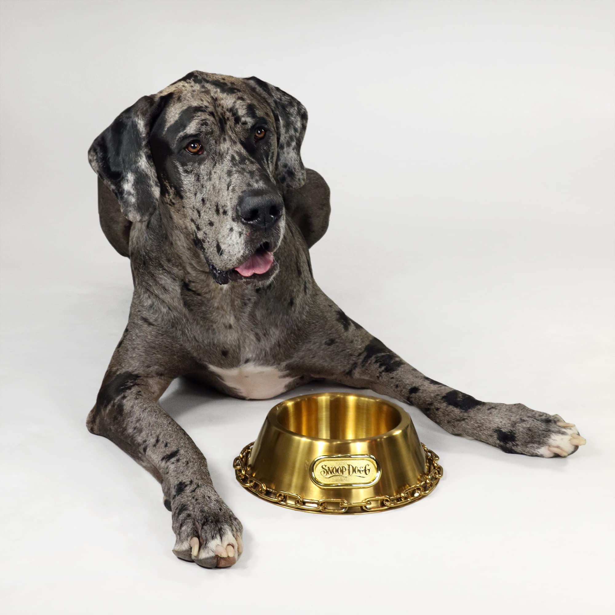 Snoop Doggies Doggs Deluxe Off The Chain Pet Bowl, Gold, Small