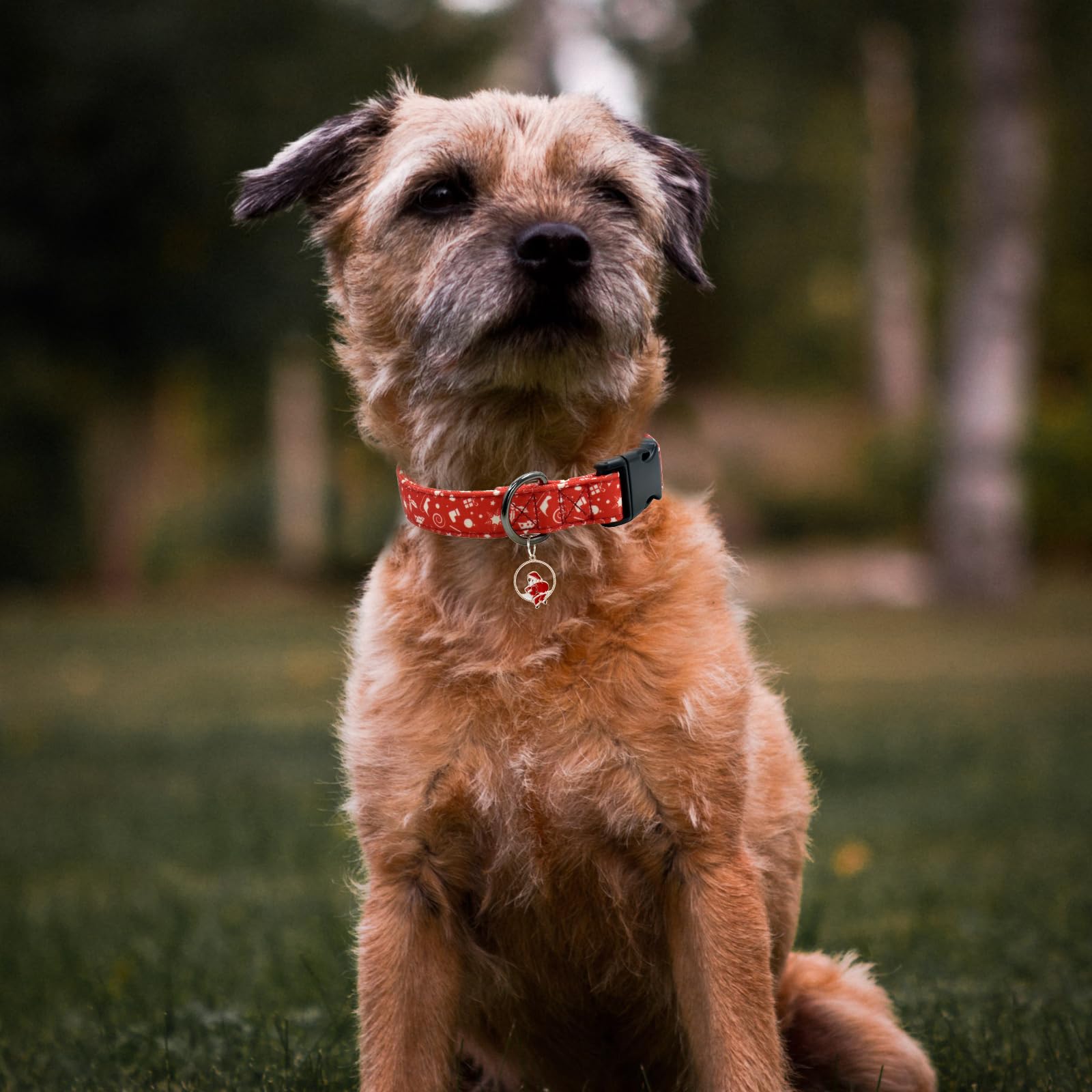 Christmas Dog Collar With Pendant, Durable And Soft Cotton Dog Collars For Small Large Female And Male Dogs Pets(Christmas S)
