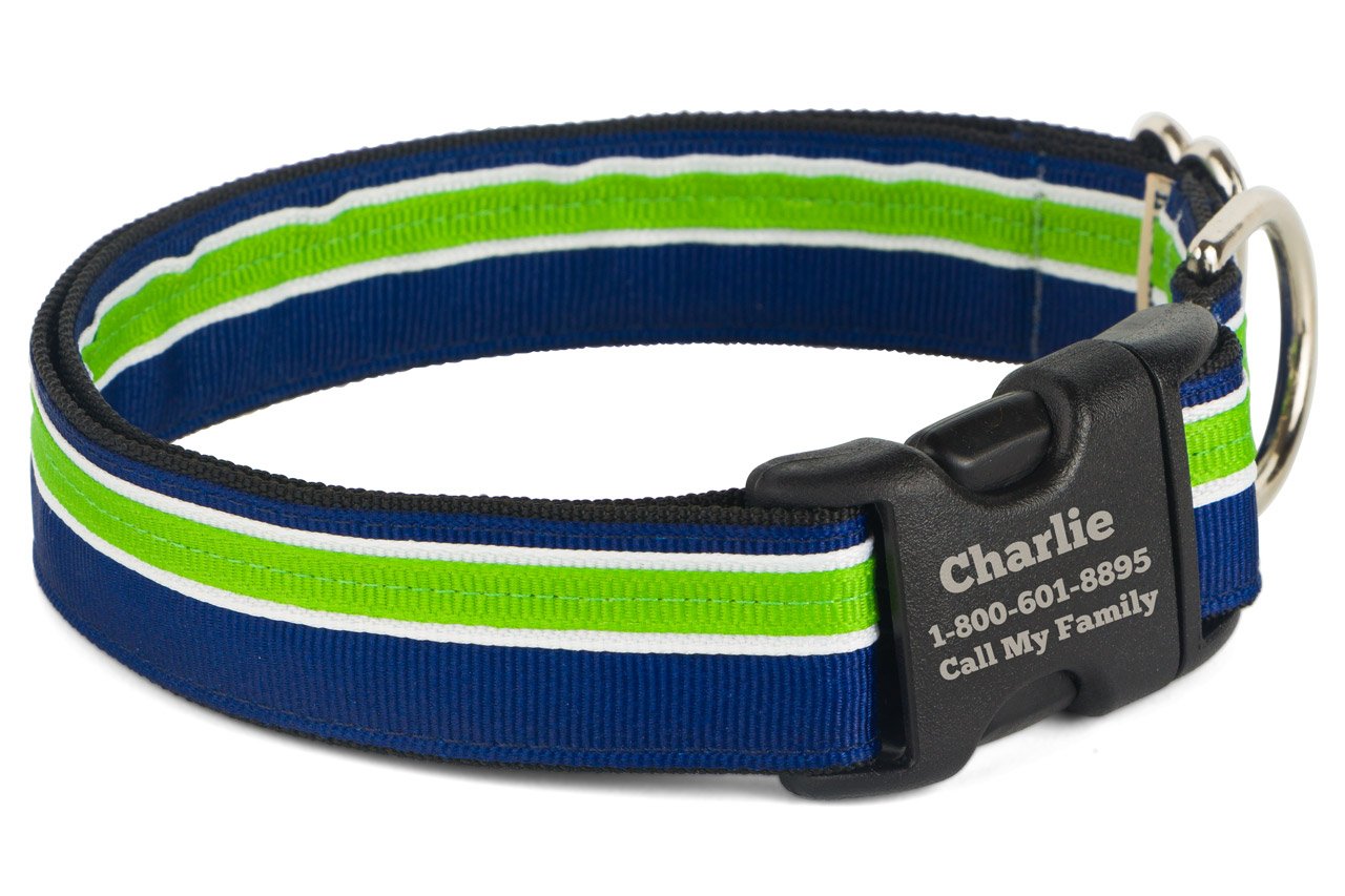 If It Barks Personalized 1 Striped Dog Collar - Engraved Name - Custom Size, Finley