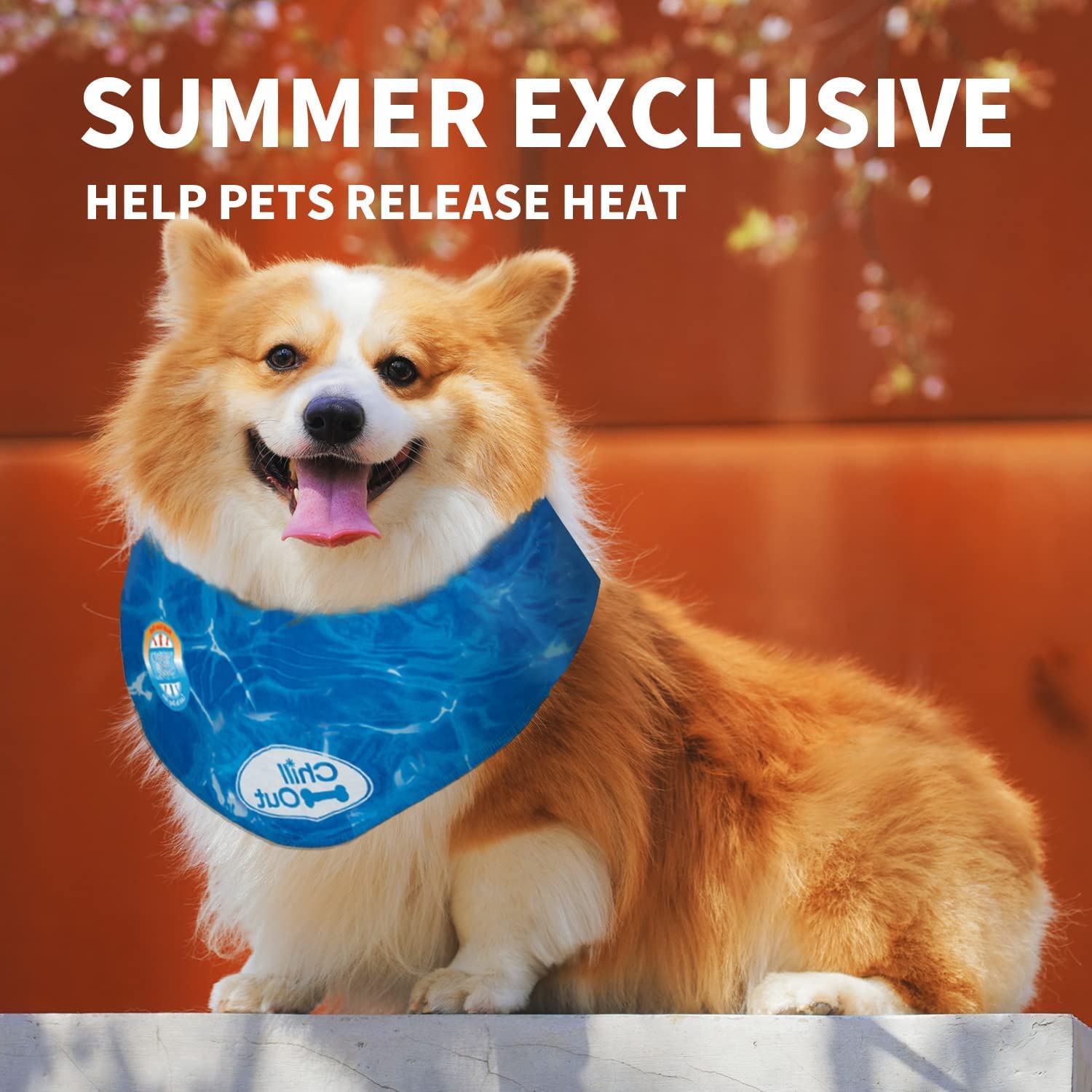 All For Paws Chill Out Ice Bandana, Large