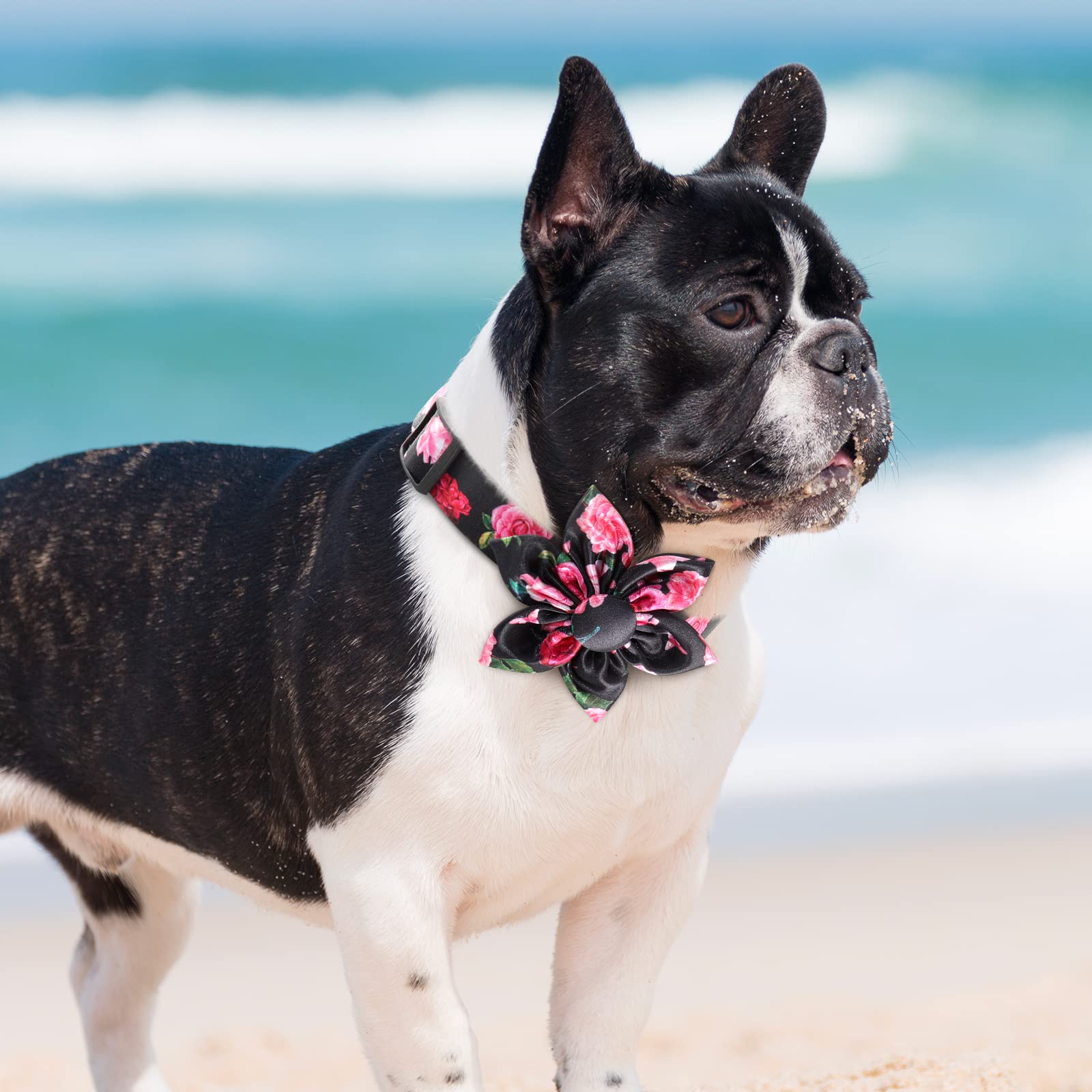 Floral Girl Dog Collars With Flower Bow Tie For Small, Medium & Large Dogs & Cats