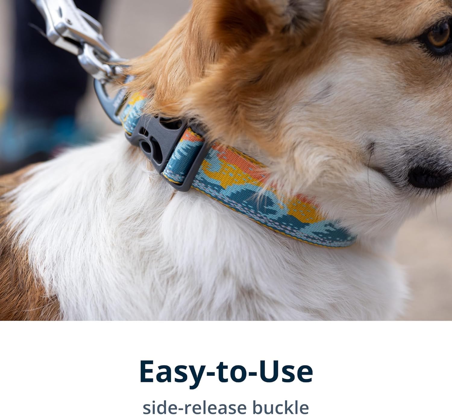 Ruffwear, Crag Dog Collar, Reflective And Comfortable Collar For Everyday Use, Rising Wave, 11''-14''