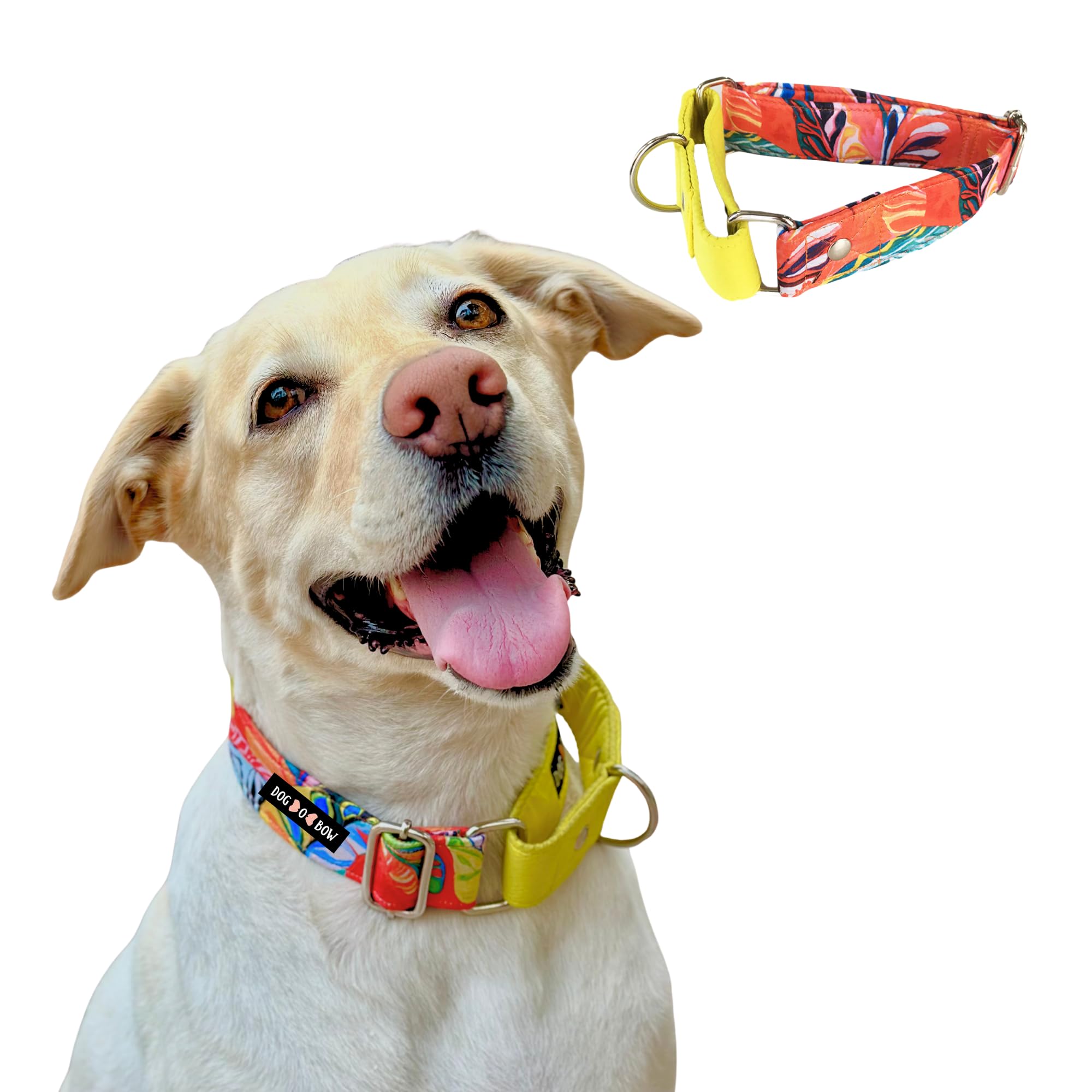DogOBow Red And Yellow Martingale Dog Collar, Durable, Comfortable & Adjustable Training Collar (Medium)