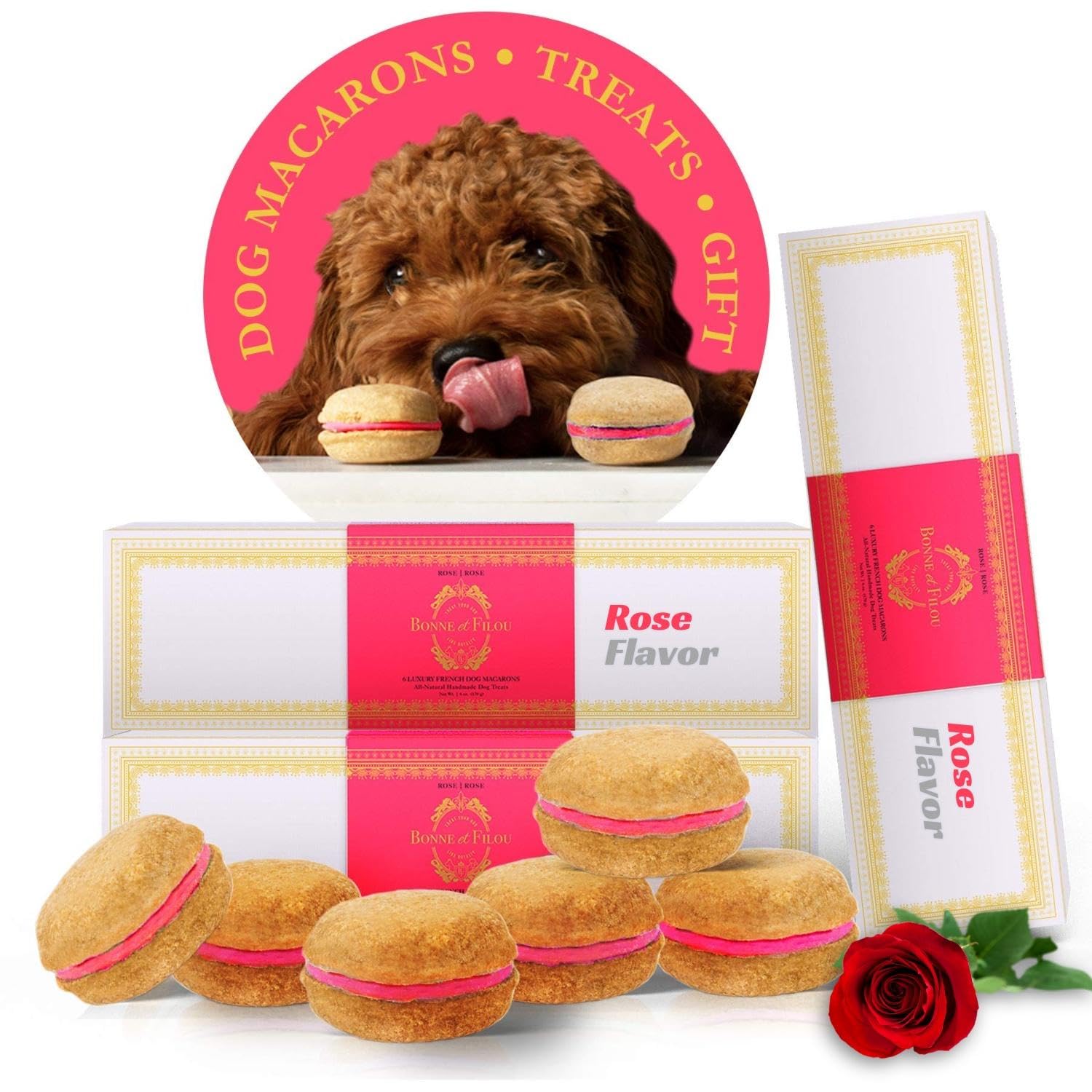 Dog Macaron combo gift Pack(D0102HIRL1Y)