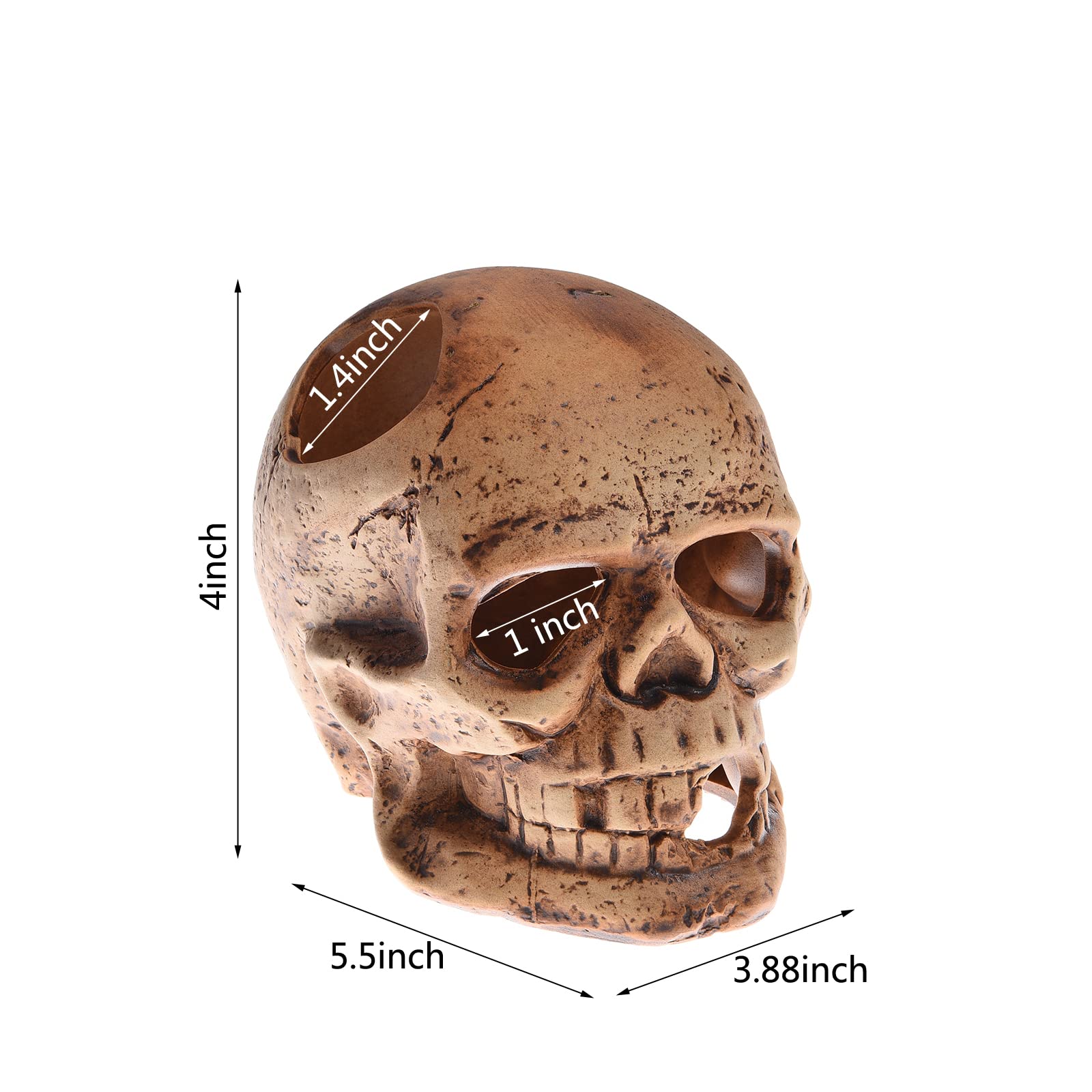 Alegi Aquarium Decoration Hideaway Rock Cave For Betta Shrimp Cichlid Hiding Breeding Spawning (Ceramic Skull)