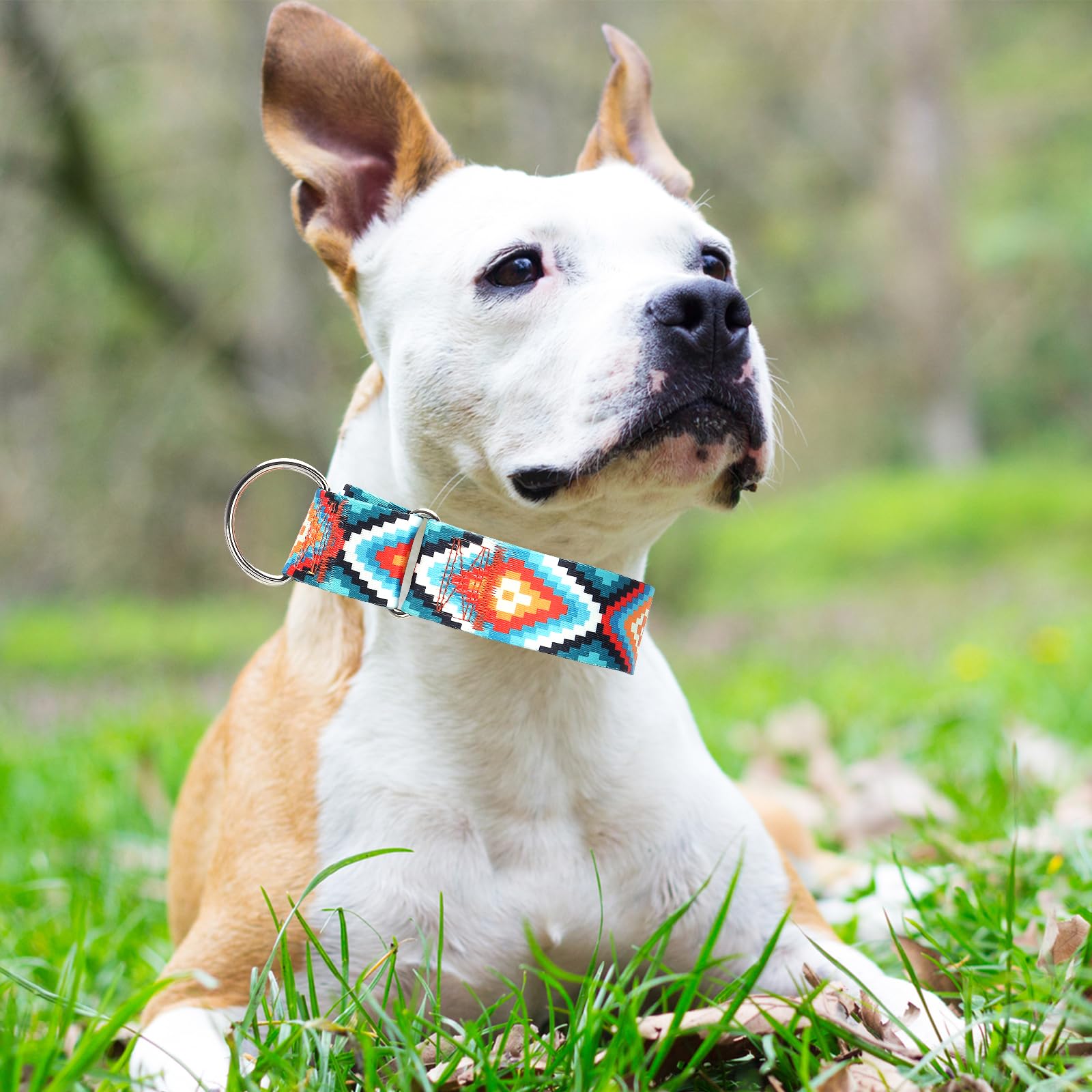Martingale Collar For Dogs - Dog Training - Big, Wide & Thick Dog Collar - Escape-Proof,Durable And Comfortable- Tribal Medium D
