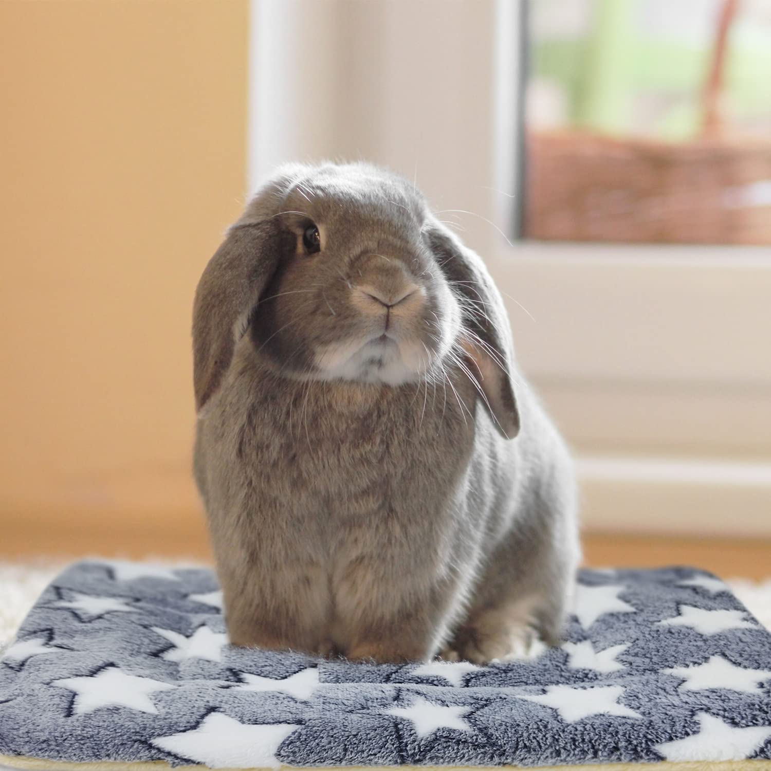 Tierecare 10Pcs Guinea Pig Bed Soft Rabbit Bedding Cage Liner Warm Bunny Mats Pee Pads Fleece Blanket Plush Hamster Sleep Beds F
