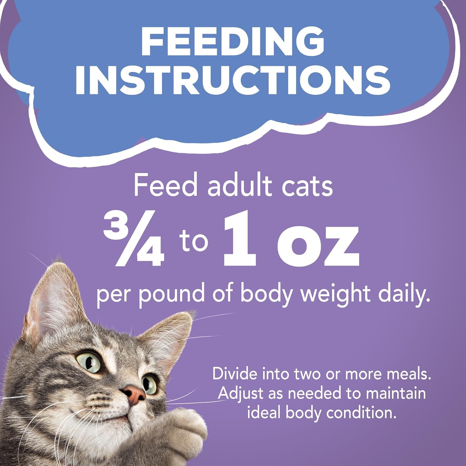 Friskies Savory Shreds Turkey and Cheese Wet Cat Food (5.5-oz can, case of 24)