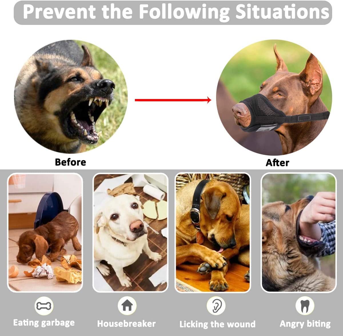 LUCKYPAW Dog Muzzle Anti Biting Barking and Chewing with Comfortable Mesh Soft Fabric and Adjustable Strap, Suitable for Small,