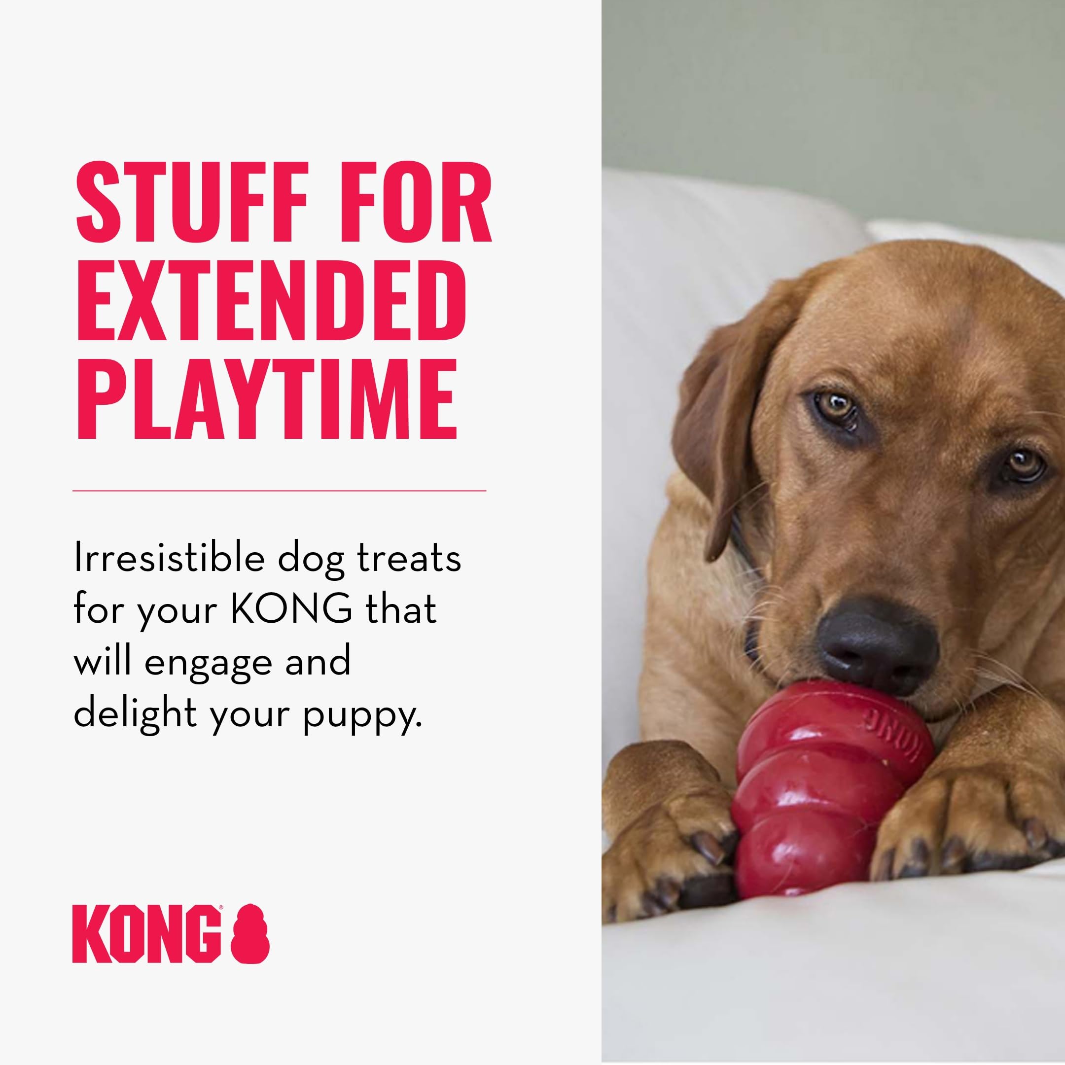 KONG Dog Treats Combo Pack - Includes Bacon/Cheese Snacks & Easy Treat Bacon/Cheese Spray - Toy Filler - for Training, Playtime