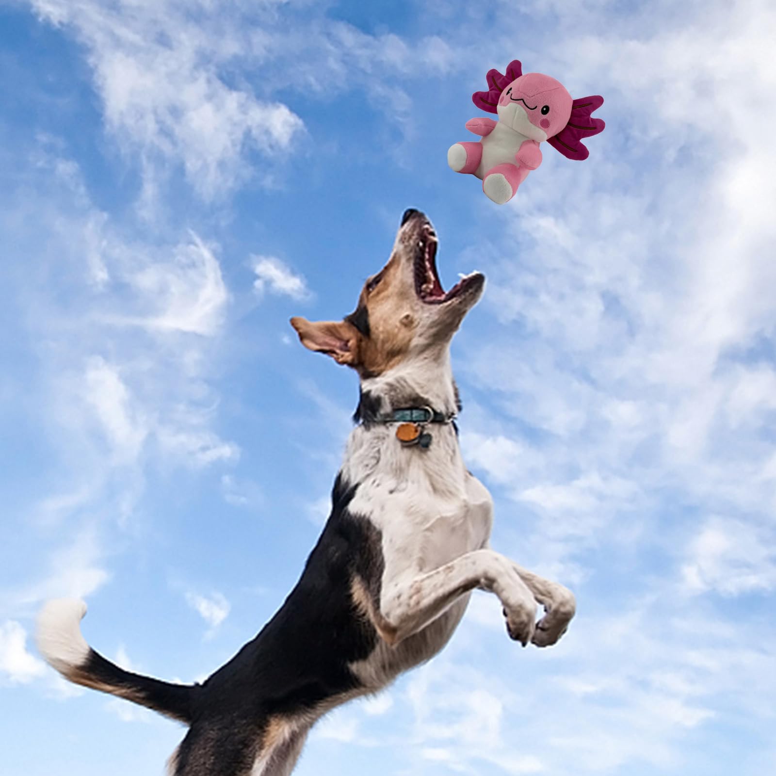 Blnboimrun Squeaky Dog Toys for Aggressive Chewers, Interactive Puppy Toys with Squeaker & Crinkle Paper, Double Layer Durable P