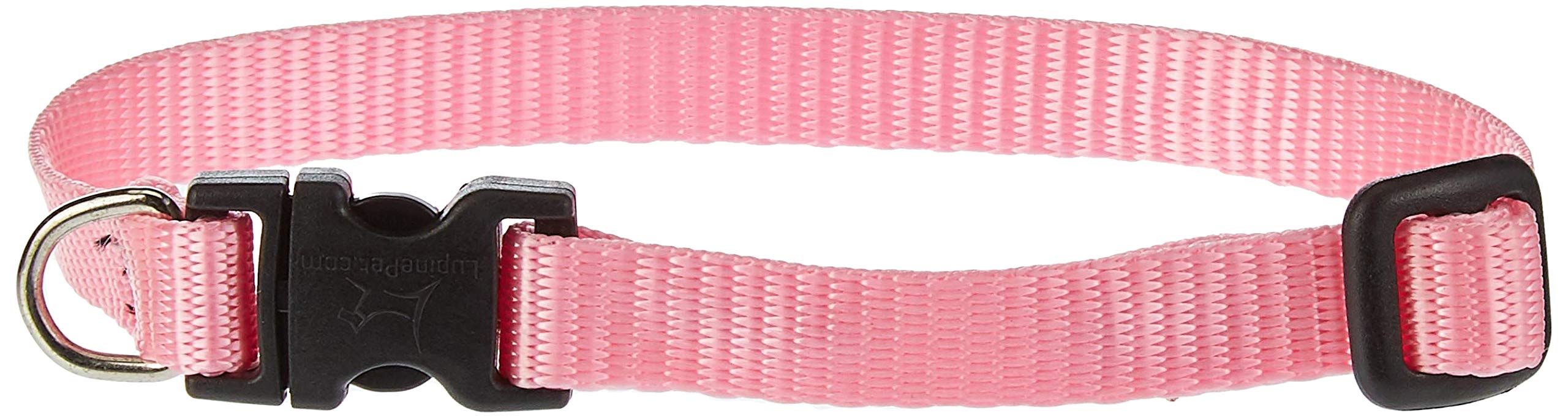 LupinePet Basics 1/2 Pink 10-16 Adjustable Collar for Small Dogs