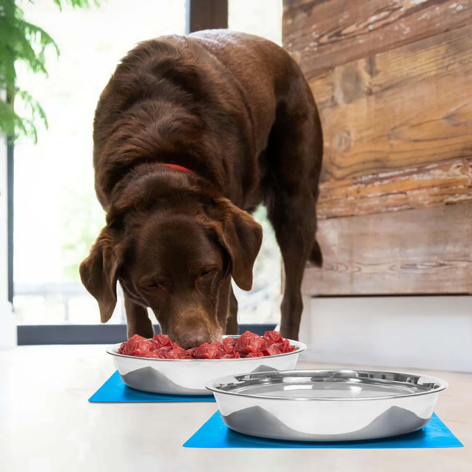 Shallow Dog Food Bowls, Non Slip Food Grade Stainless Steel Bowls for Large Dogs - 8 Cups / 2 Quart (2 Pcs)