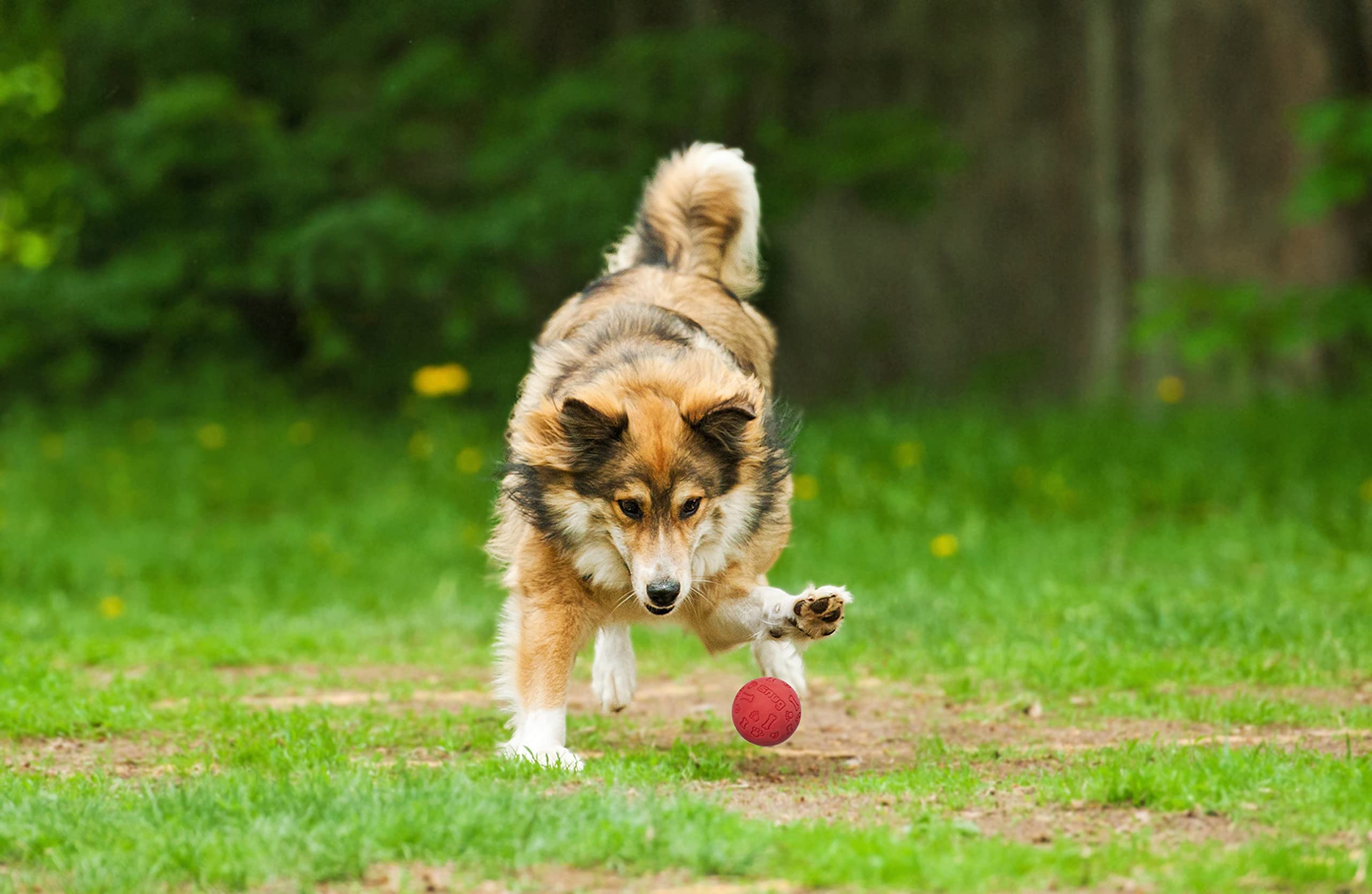 Snug Rubber Dog Balls For Small And Medium Dogs - Tennis Ball Size - Virtually Indestructible (3 Pack - Classic)