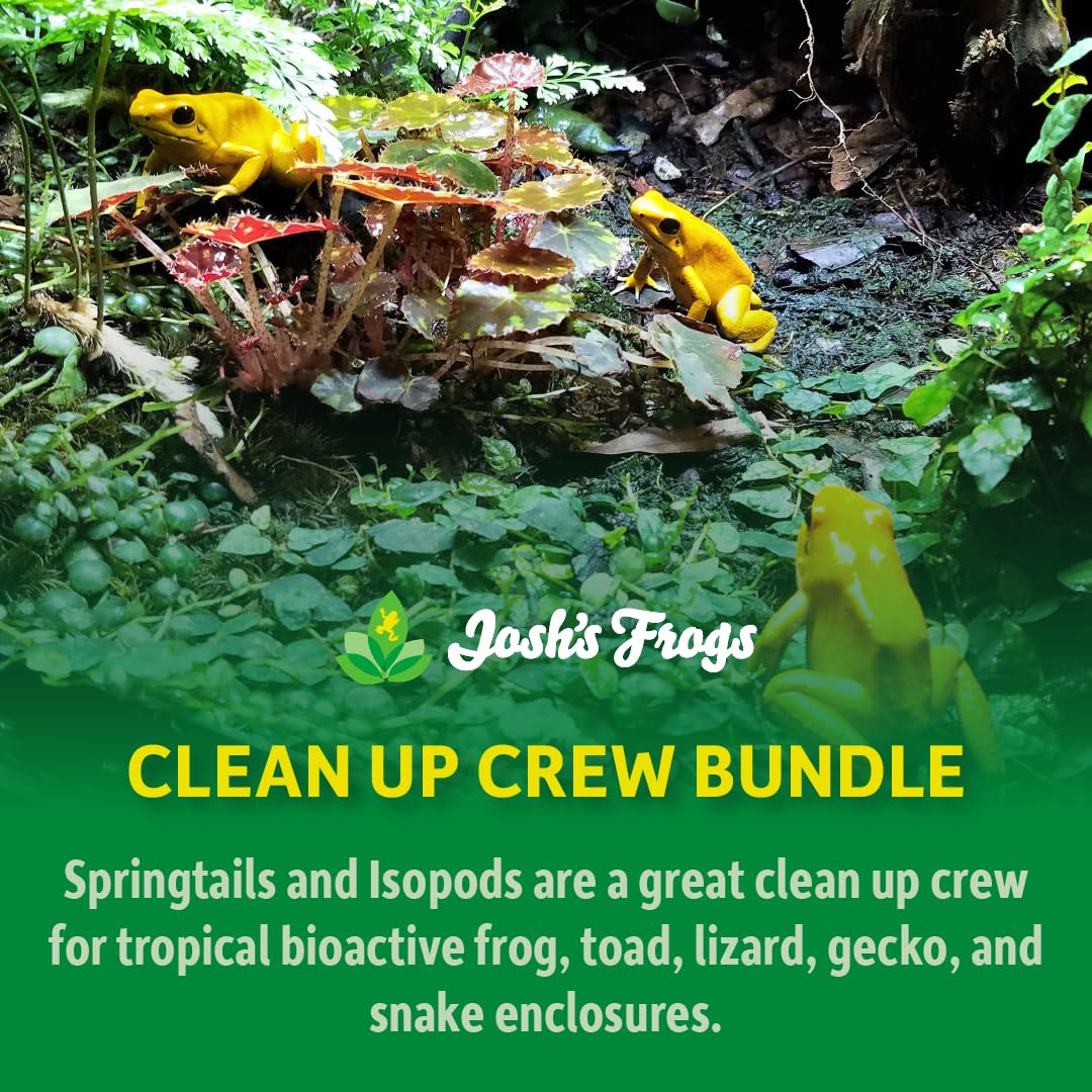 Joshs Frogs Dwarf Tropical White Isopods (25 ct) and Temperate Springtails (8oz) Bioactive Clean Up Crew Bugs Bundle