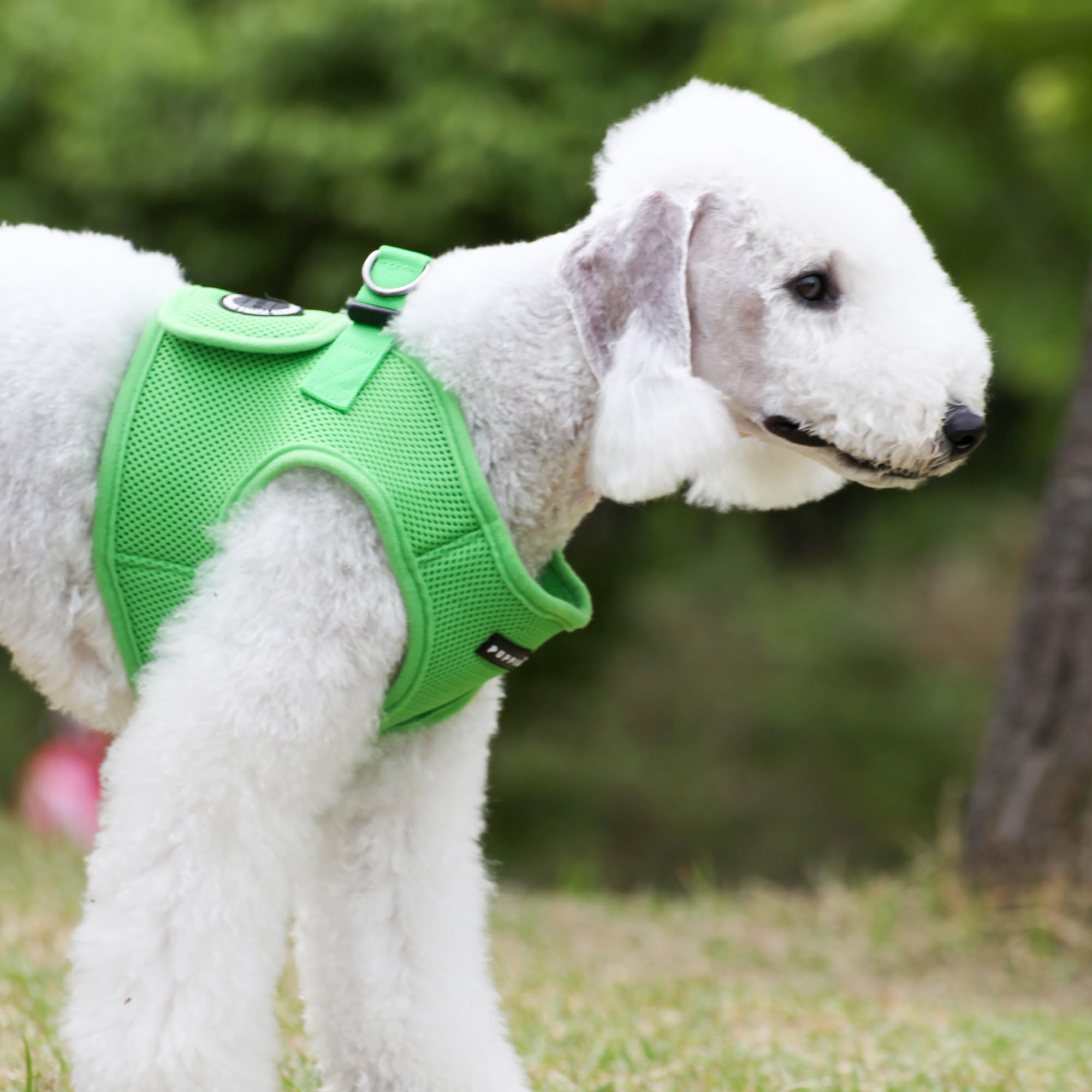PUPPIA International Harness Soft B Vest, X-Small, Green
