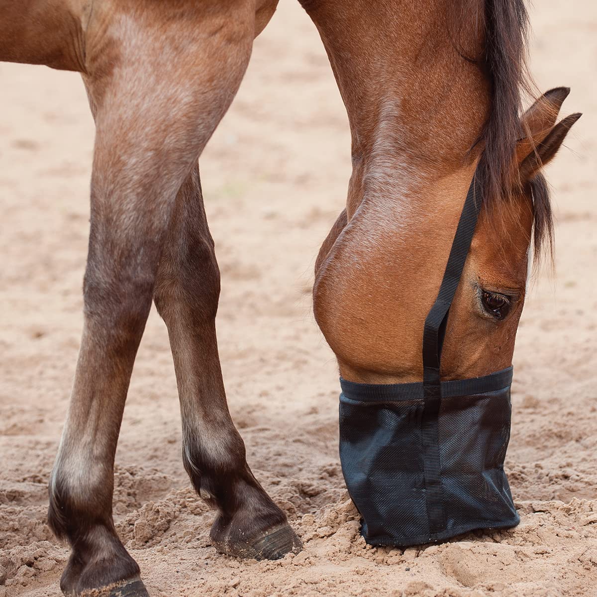 Cashel Mini Feed Rite Bag (FRB-M)