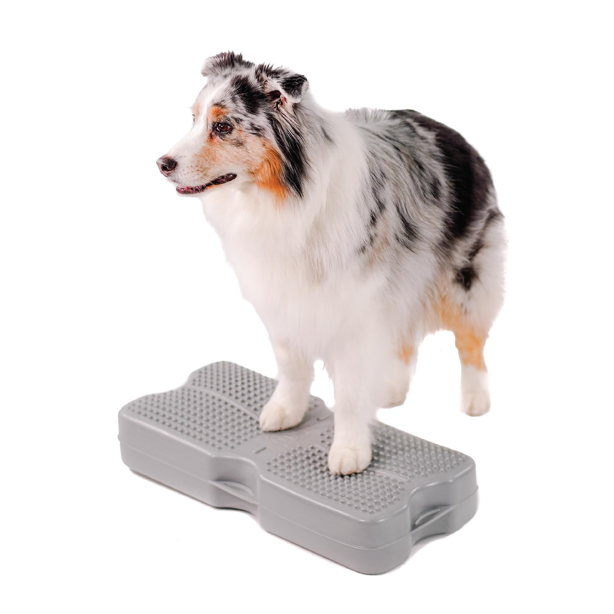 Blue-9 Propel Air Platform Kit, Professionally Designed Dog Training Accessories And Pet Products, Made In The Usa, Gray
