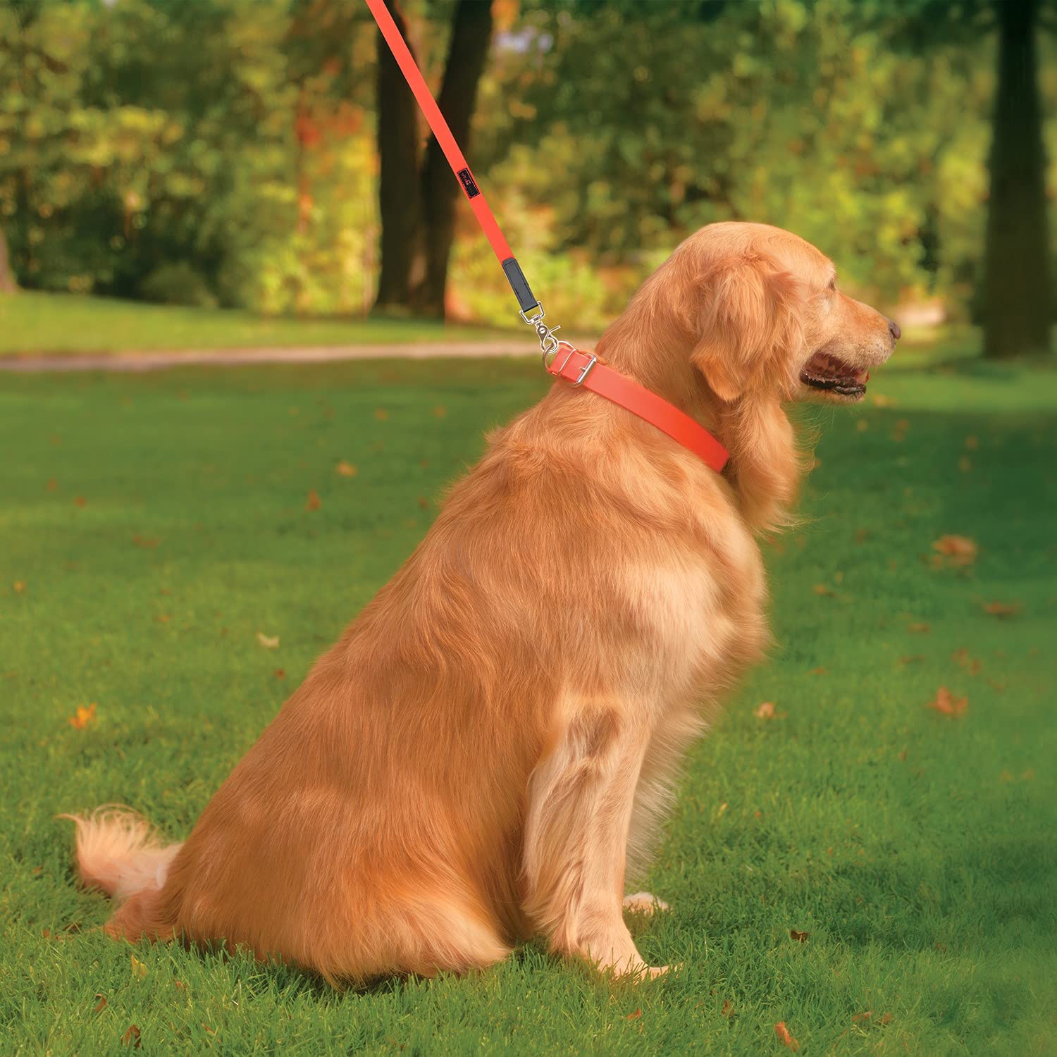 Ultrahund True Fit Collar, 3/4 X 12, Red