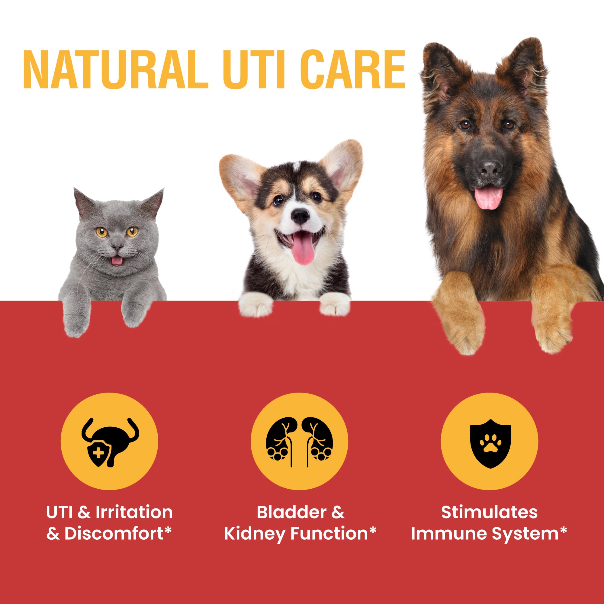 Special Breed Cat & Dog Urinary Tract Infection Treatment - Cranberry Liquid Drops, 4 Oz for Kidney & Bladder Health, Clear