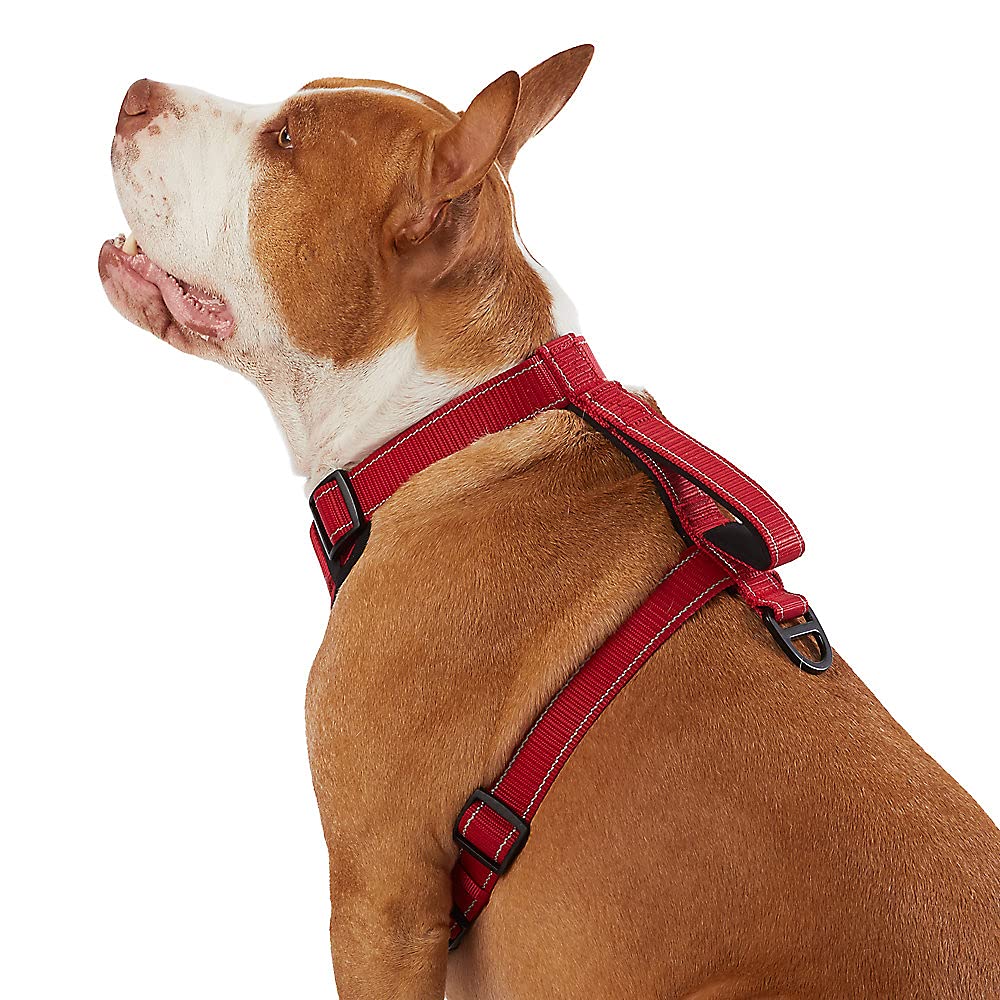 Kong Max Ultra Durable Neoprene Padded Chest Plate Dog Harness Offered By The Barker Company (Red, Large)