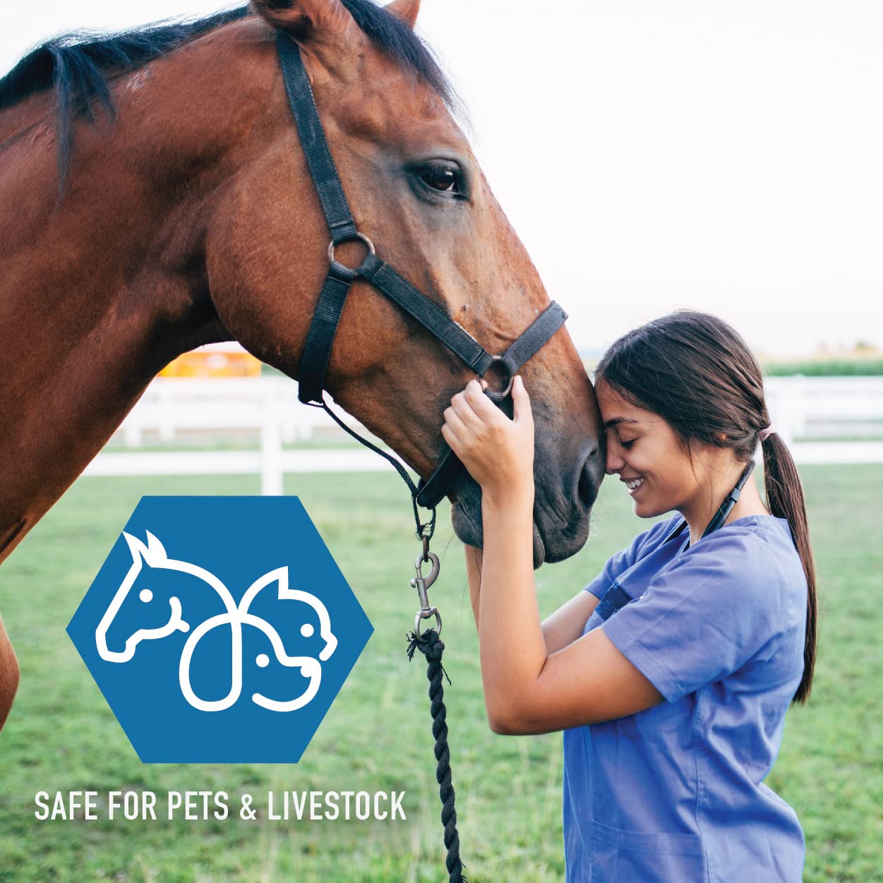 PETFX TRIOX Antimicrobial Spray