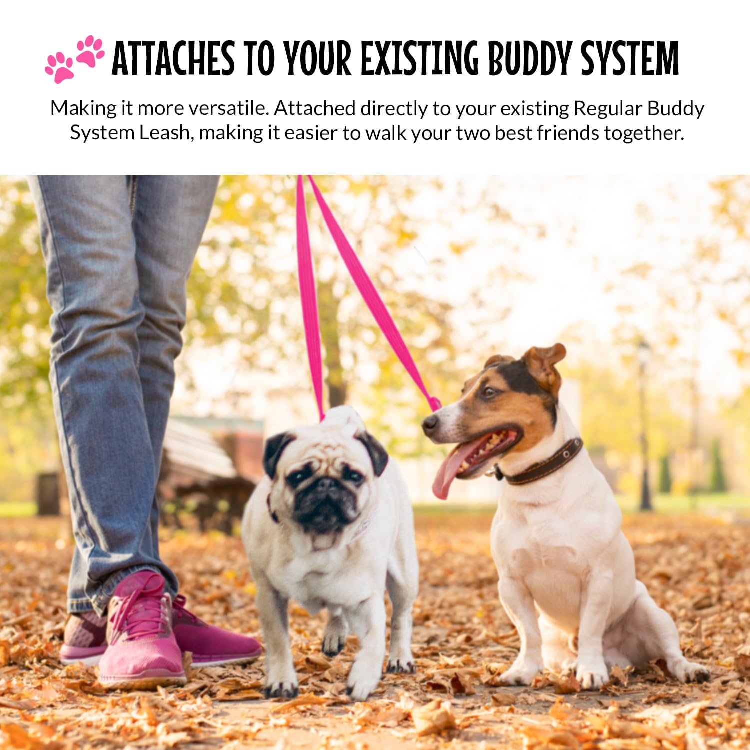 The Buddy System Double Buddy Small Pink