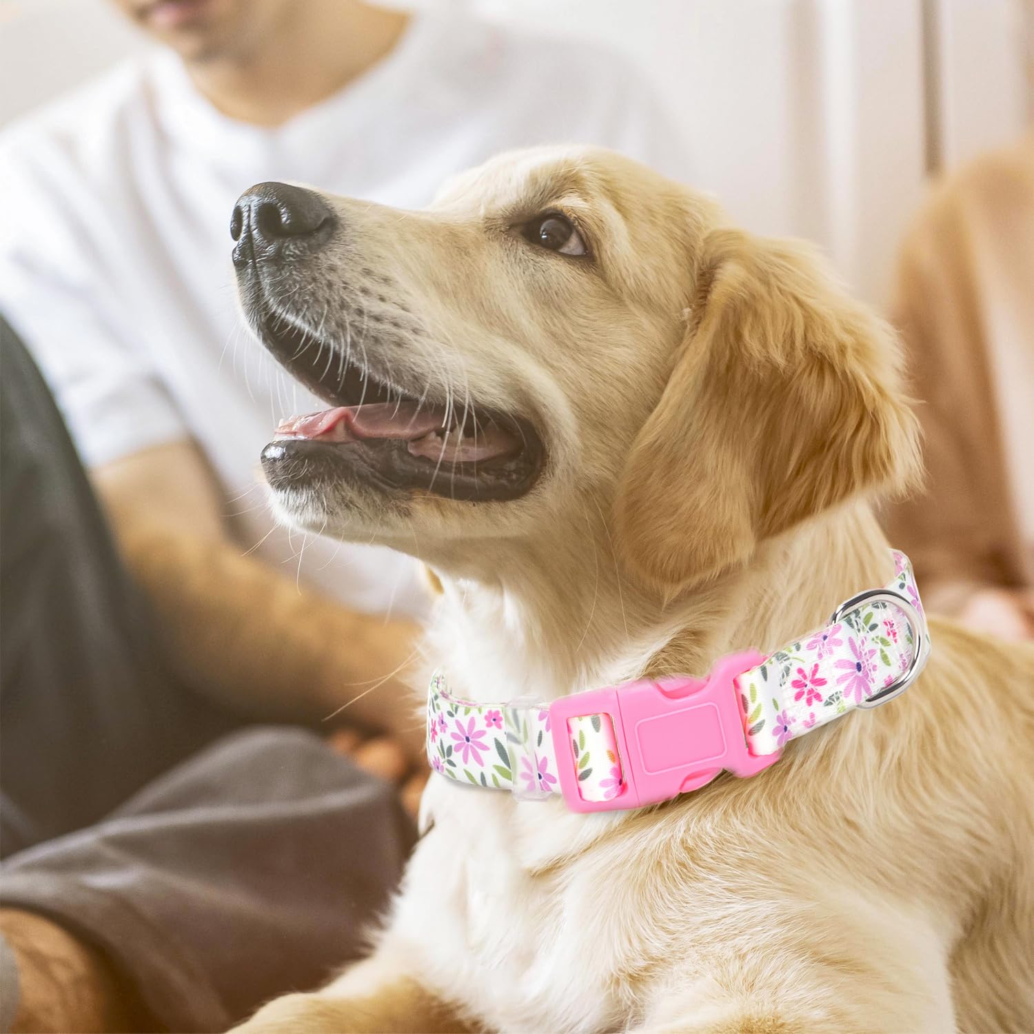 Dog Collars For Medium Dogs, Dog Collar With Flowers Patterns, Adjustable Comfy Soft Pet Collar For Small Medium Large Dogs (Flo