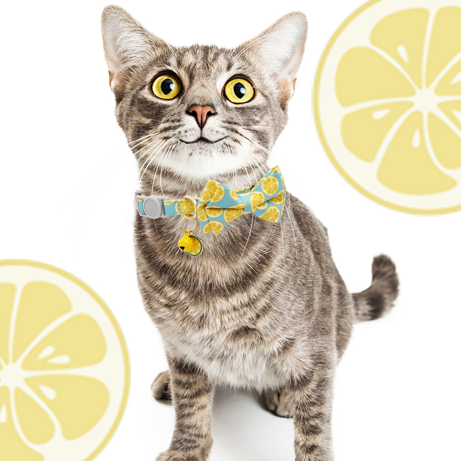 Faygarsle 2 Pack Cute Cat Collar With Bell Breakaway Bowtie Cat Collar For Male Female Cats Soft Fancy Pink Yellow Cat Collar Watermelon Lemon Pattern Spring Summer Cat Collar For Boy Girl Cats