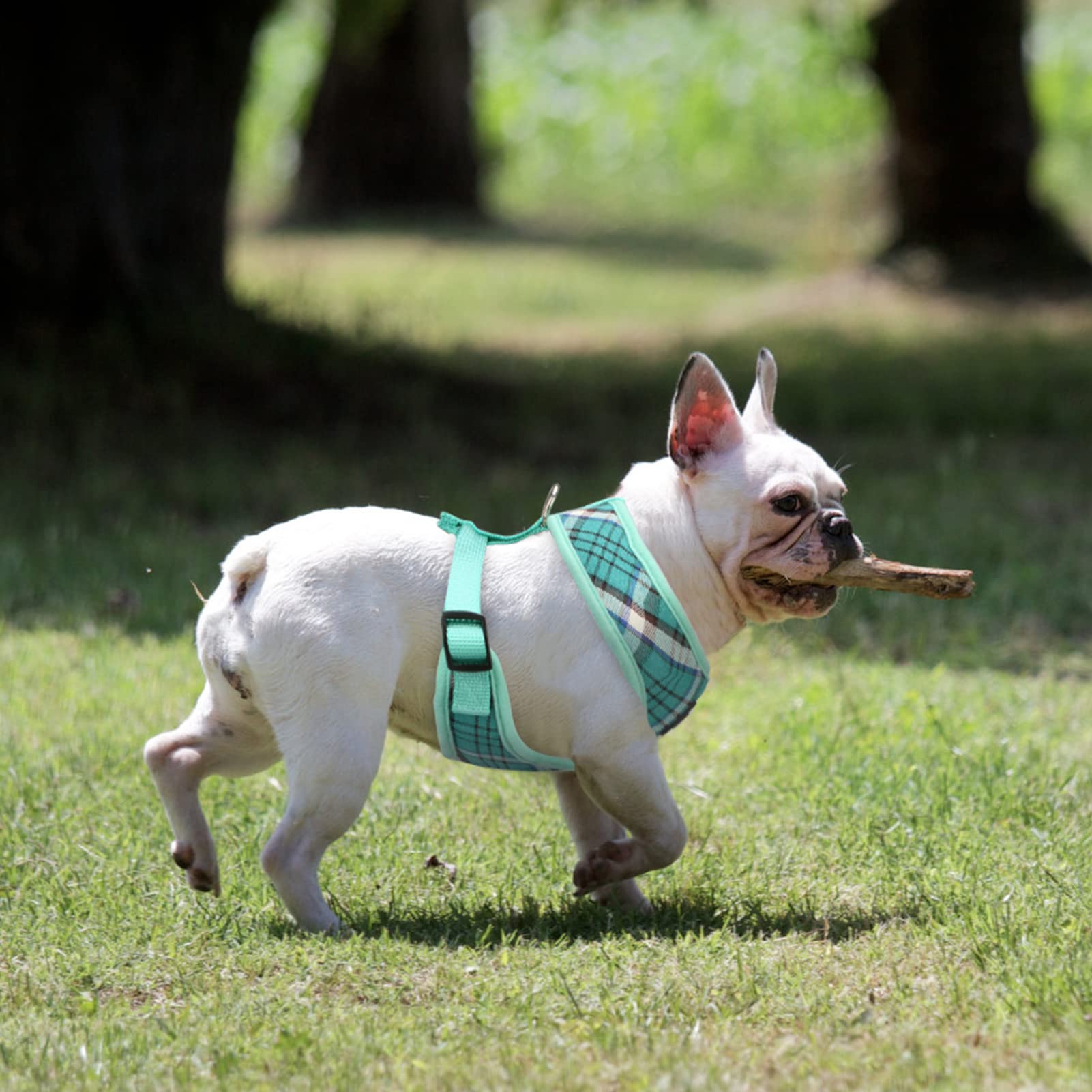 Pupteck Soft Mesh Dog Harness And Leash Set Pet Puppy Cat Comfort Padded Vest No Pull Harnesses, Green, Xs