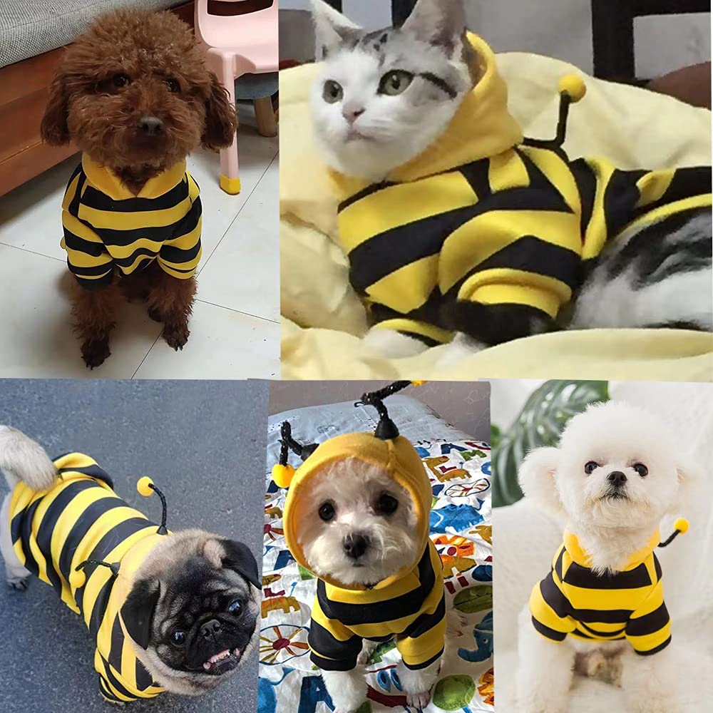 Anelekor Funny Dog Hoodies Sweatshirt Holiday Cat Sweater Warm Dog Clothes For Small Dog Yellow Cat Outfit Puppy Hooded Coat Pet Bee Costume For Halloween Christmas (Yellow,Medium)