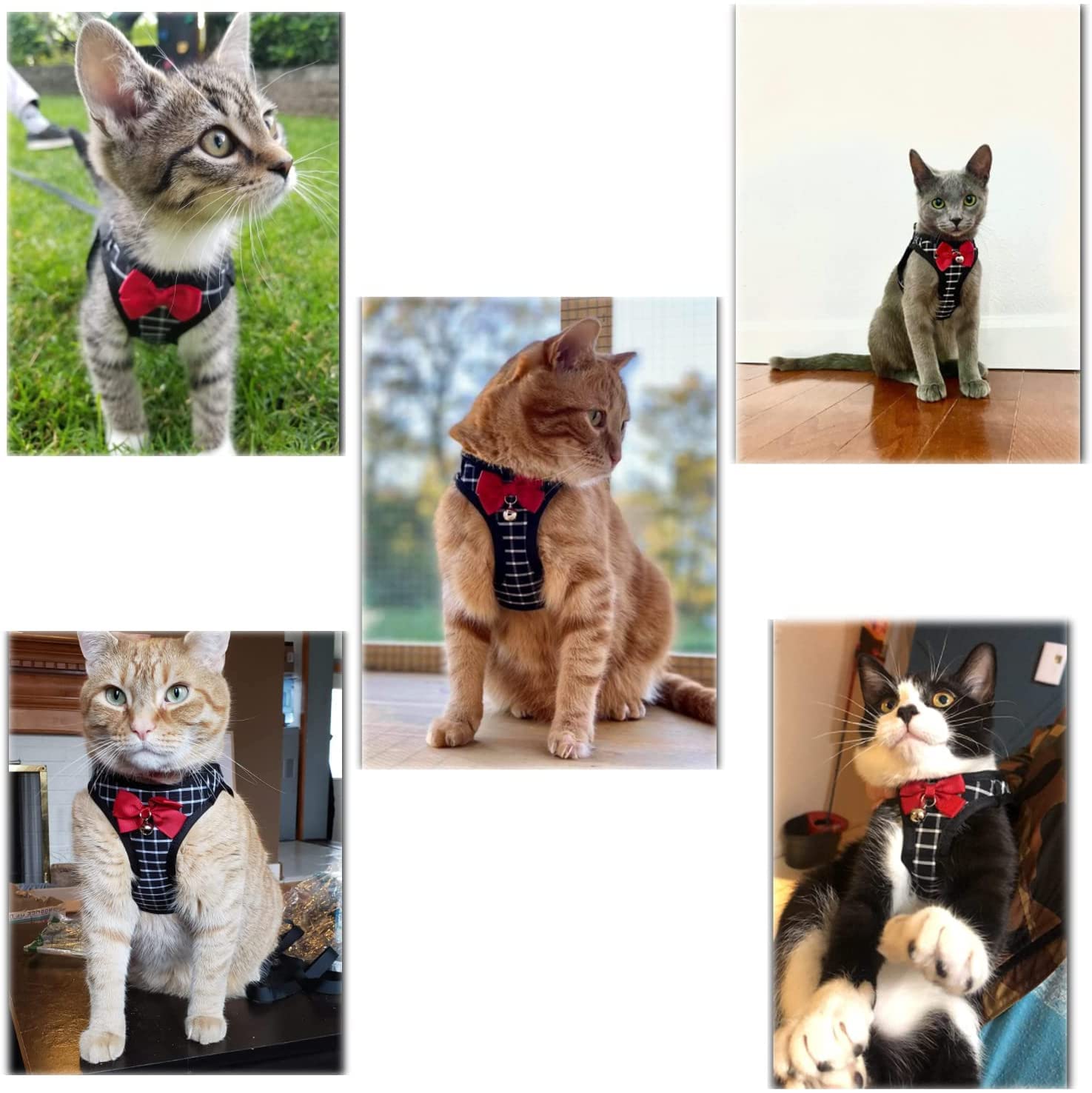 BLUWTE Cat Harness and Leash Set - Escape Proof, Breathable Mesh Vest Harness for Puppy, Cat, Rabbit (Black, L)