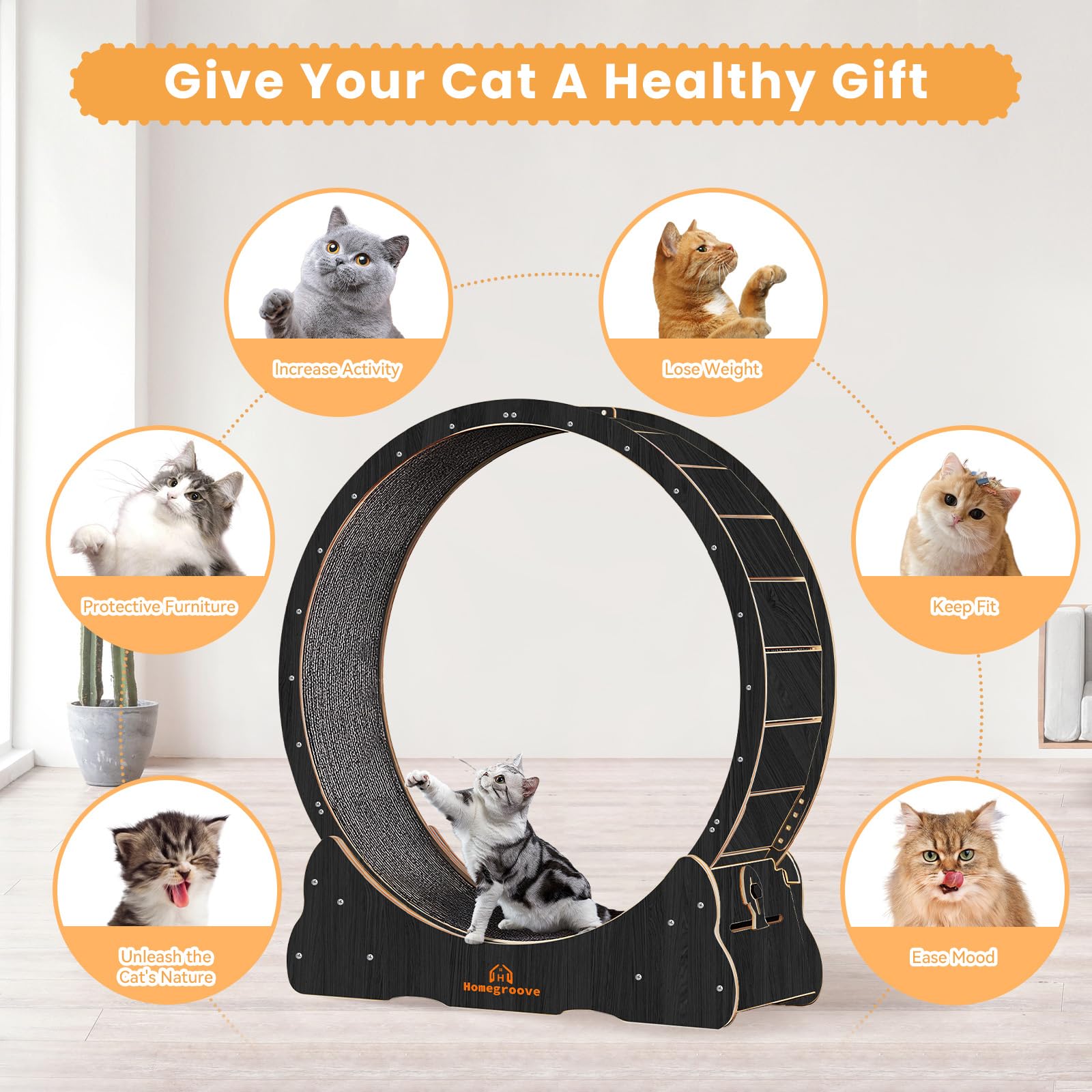 Homegroove Cat Wheels for Indoor Cats, 43  Large Cat Exercise Running Treadmill Wheel with Carpeted Runway for Kittys Longer Lif