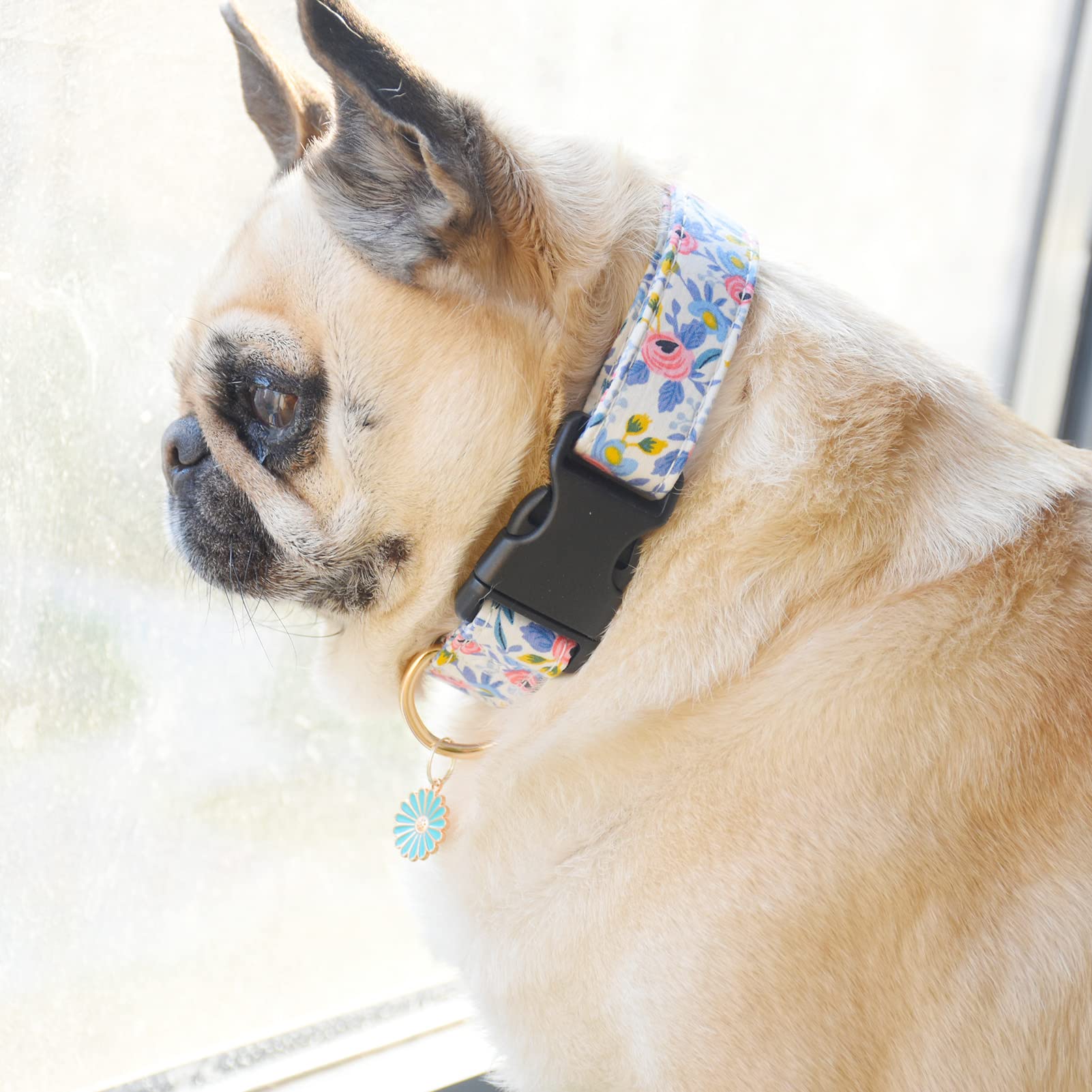 2 Pcs Cotton Dog Collar Soft Cute Flower -3 Sizes Soft Nylon Puppy Collar Adjustable For Girl Female Small Medium Large Dogs (S(