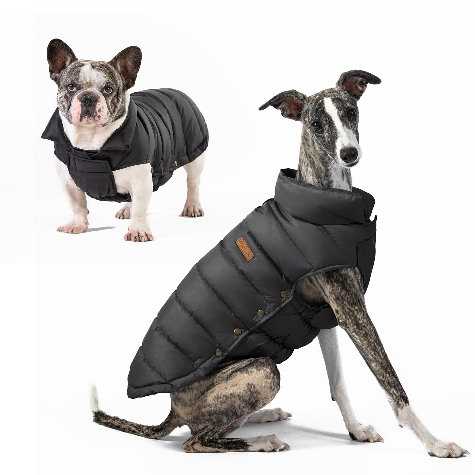 Space Lion Puffer Jacket, Down Winter Coat, Waterproof, Windproof, Lightweight Jacket, Adjustable Fit Dog Coat For Small, Medium