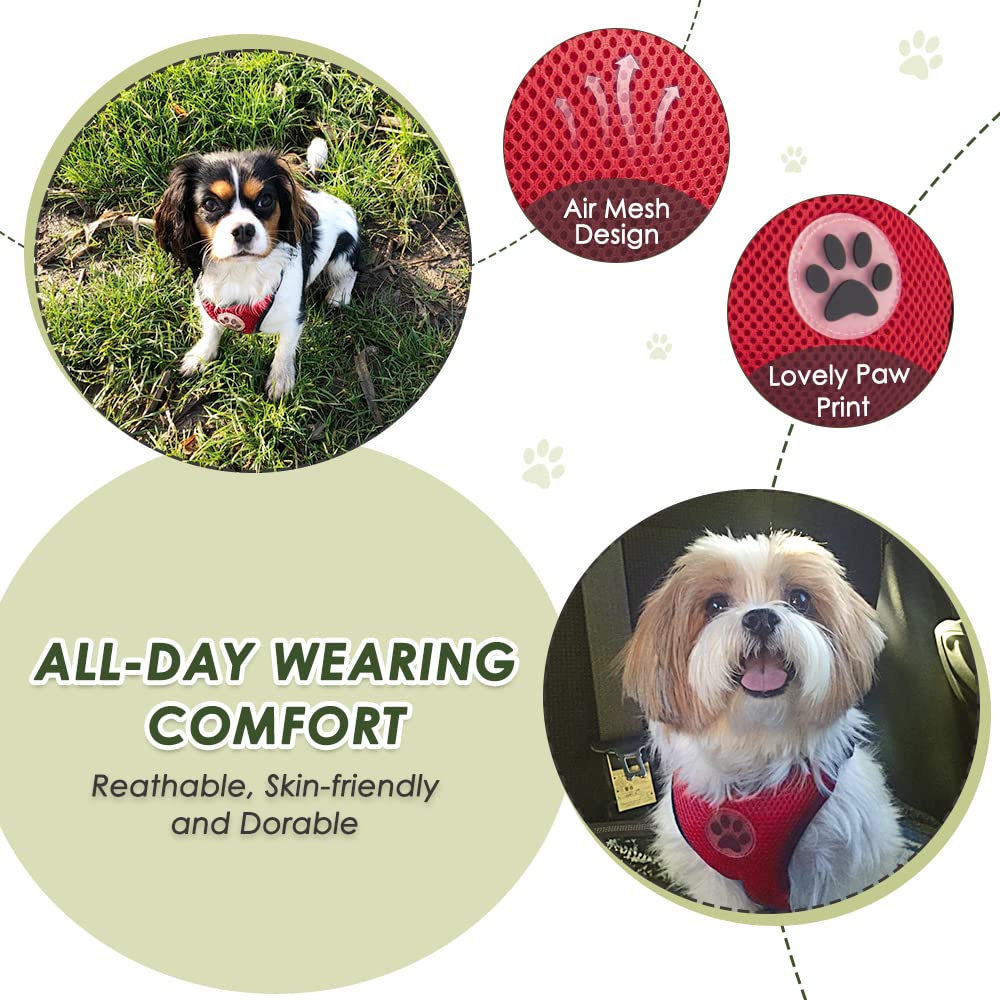 Slowton Dog Car Harness Seatbelt Set, Dog Vest Harness Adjustable Breathable & Vehicle Safety Seat Belt With Elastic Bungee For Small Medium Large Pets(Red - Double Clip,Xxs)