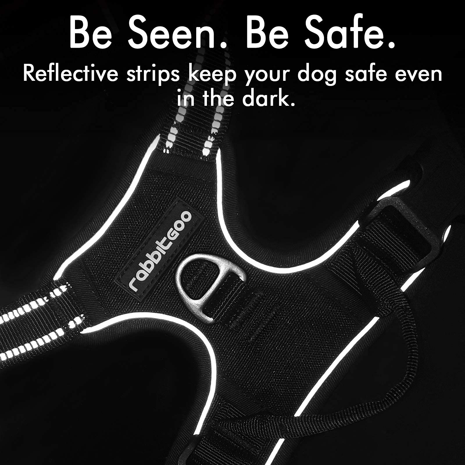 Rabbitgoo Dog Harness, No-Pull Pet Harness With 2 Leash Clips, Adjustable Soft Padded Dog Vest, Reflective No-Choke Pet Oxford Vest With Easy Control Handle For Small Dogs, Black, S