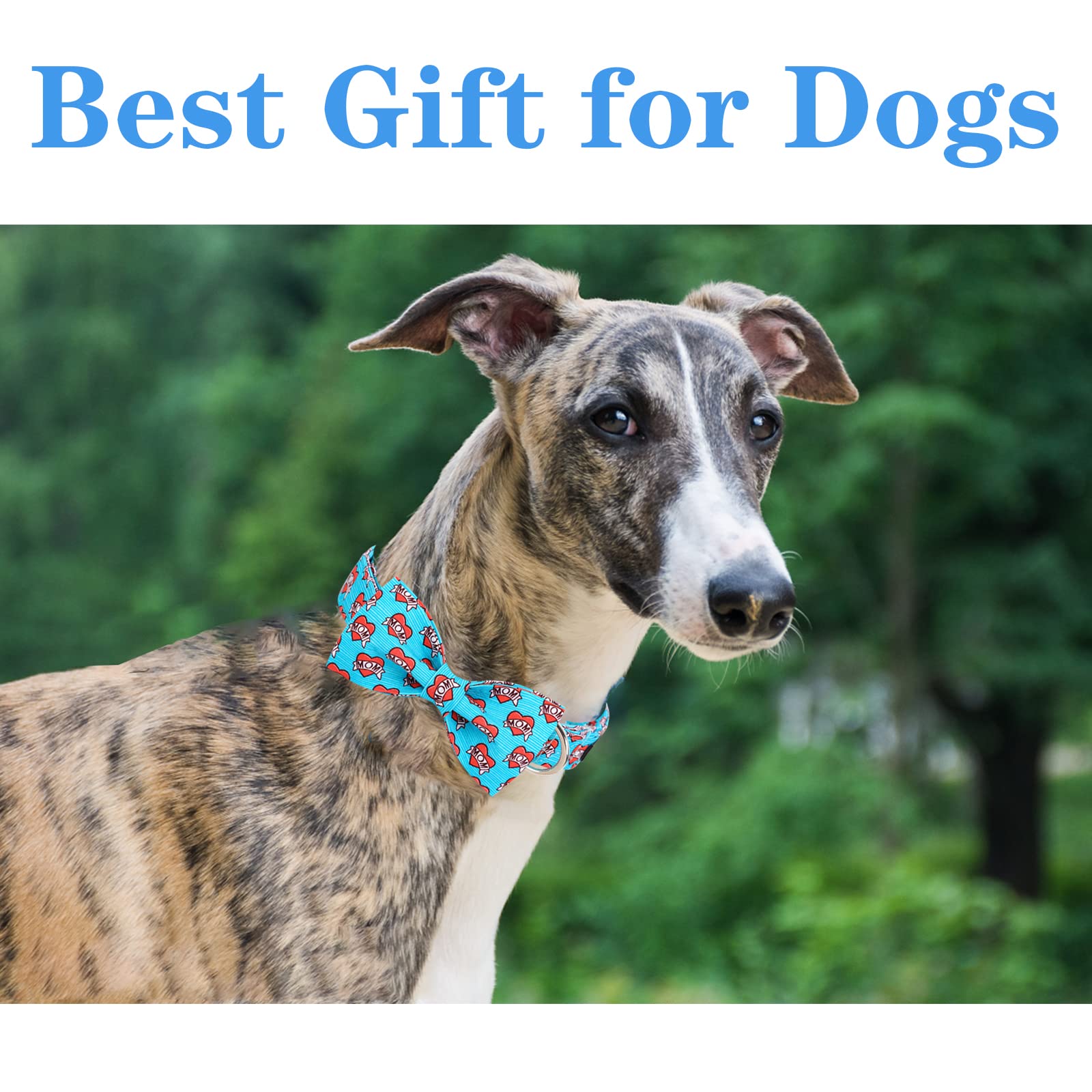 Unique Style Paws Valentine'S Dog Collar With Bow Tie Blue Heart Puppy Collar For Small Medium Large Boys Girls-L