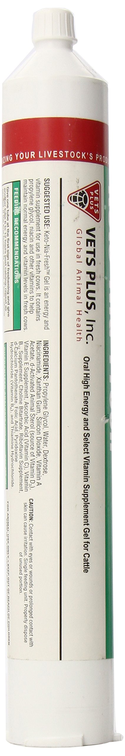 Vets Plus Keto-Nia Fresh Gel Horse Supplement, 300cc