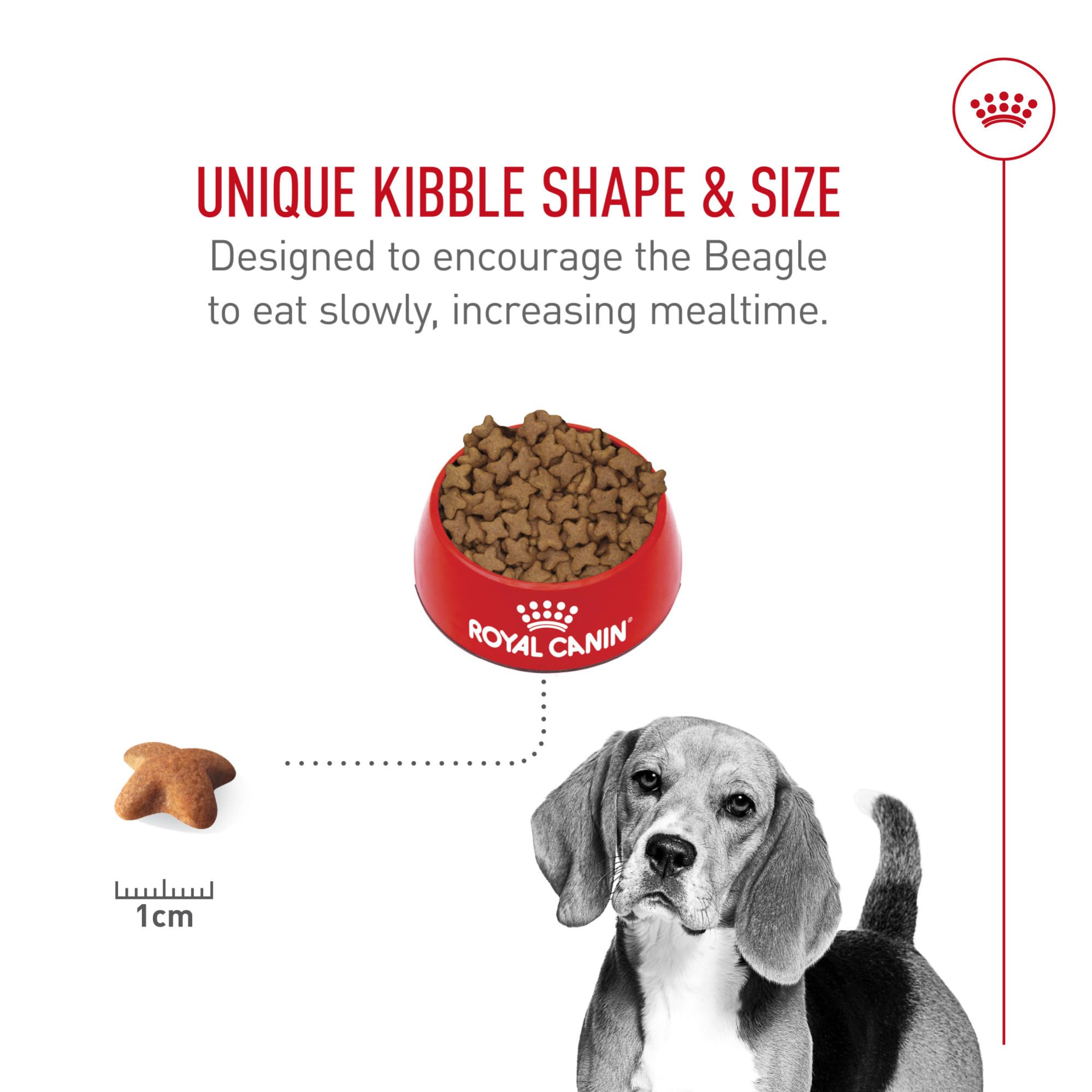 Royal Canin Beagle Adult Dry Dog Food, 6 lb bag
