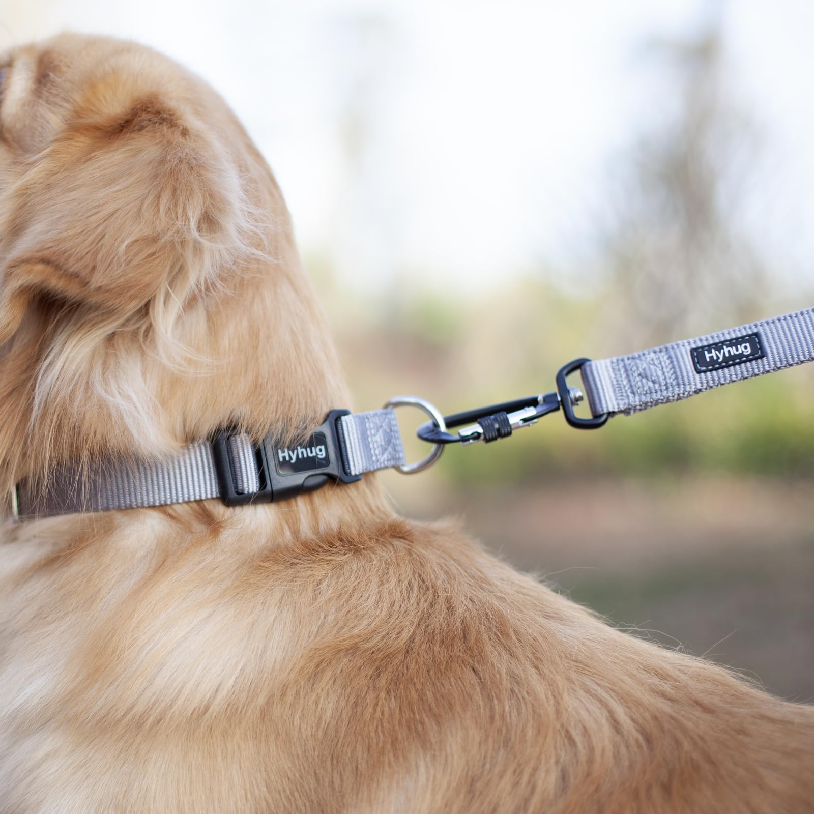 Hyhug Pets Solid Color Classic Regular Tough Basic Collar For Medium Dogs, Unique Design Adjustment Triglide Slide (Buckle) Can