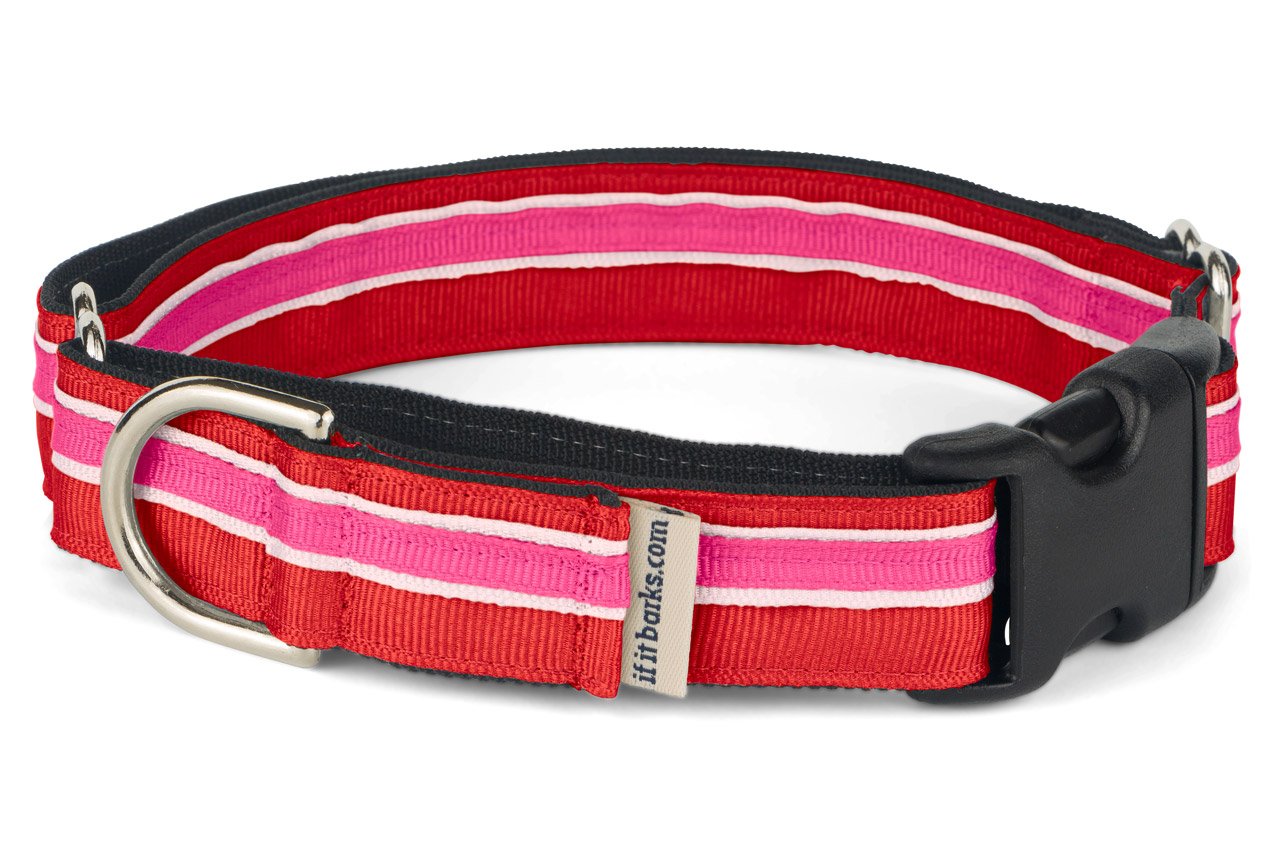 If It Barks 1'' Martingale Collar With Quick Snap Release Buckle, Adjustable, Usa Made, Small, Shortcake