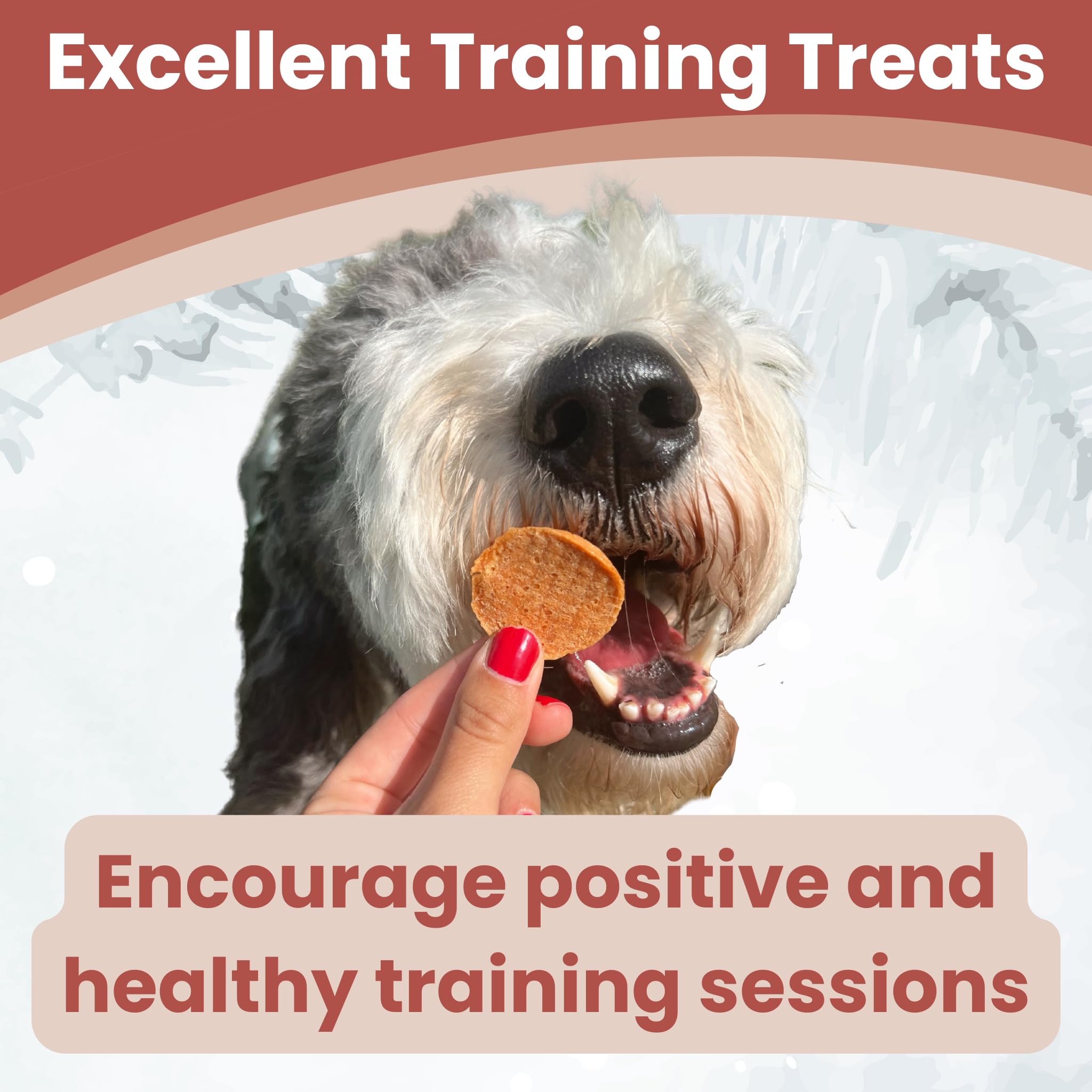 Farm To Pet Chicken Chips for Dogs - Single Ingredient All Natural Dog Treats for Small, Medium, & Large Dogs  Healthy Training