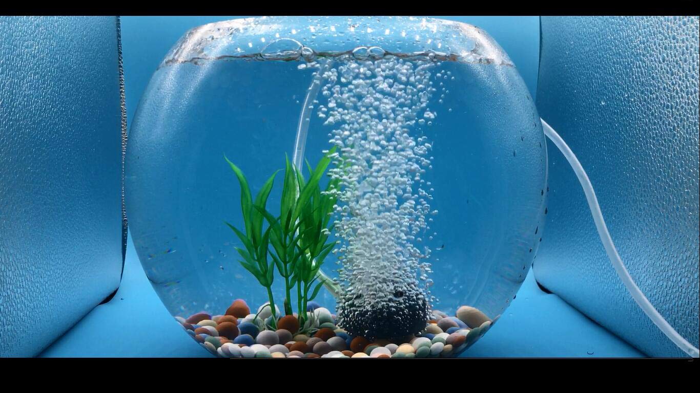 Wenshall 1.6 Inch Air Stone, Aquarium Air Stone, Air Stone For Fish Tank And Hydroponics Air Pump