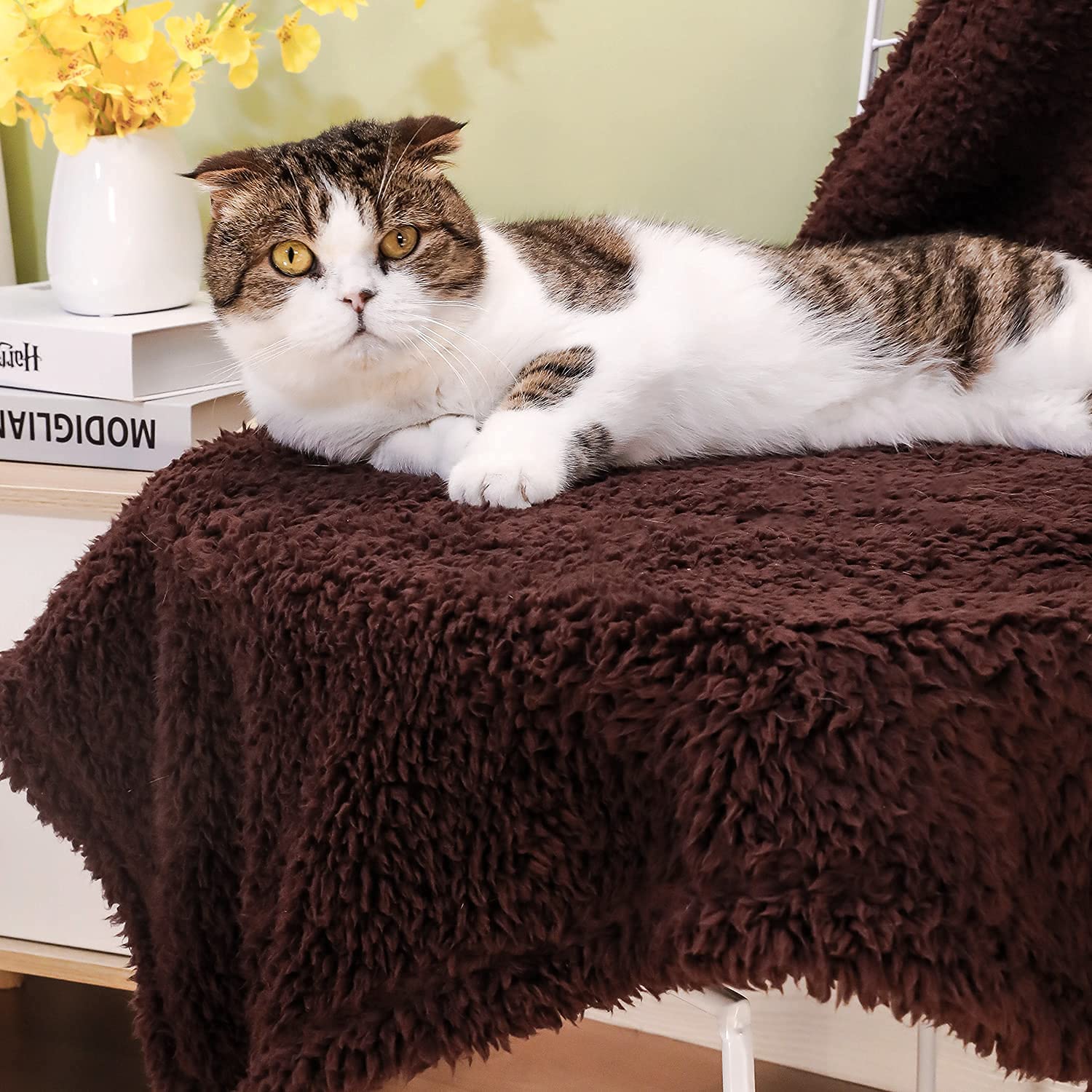 Xinsource 2 Pack Dog Blanket For Medium Size Dogs Cats Soft Sherpa Fleece Pet Blanket Throw For Sofa, Couch Thick Durable Pet Be