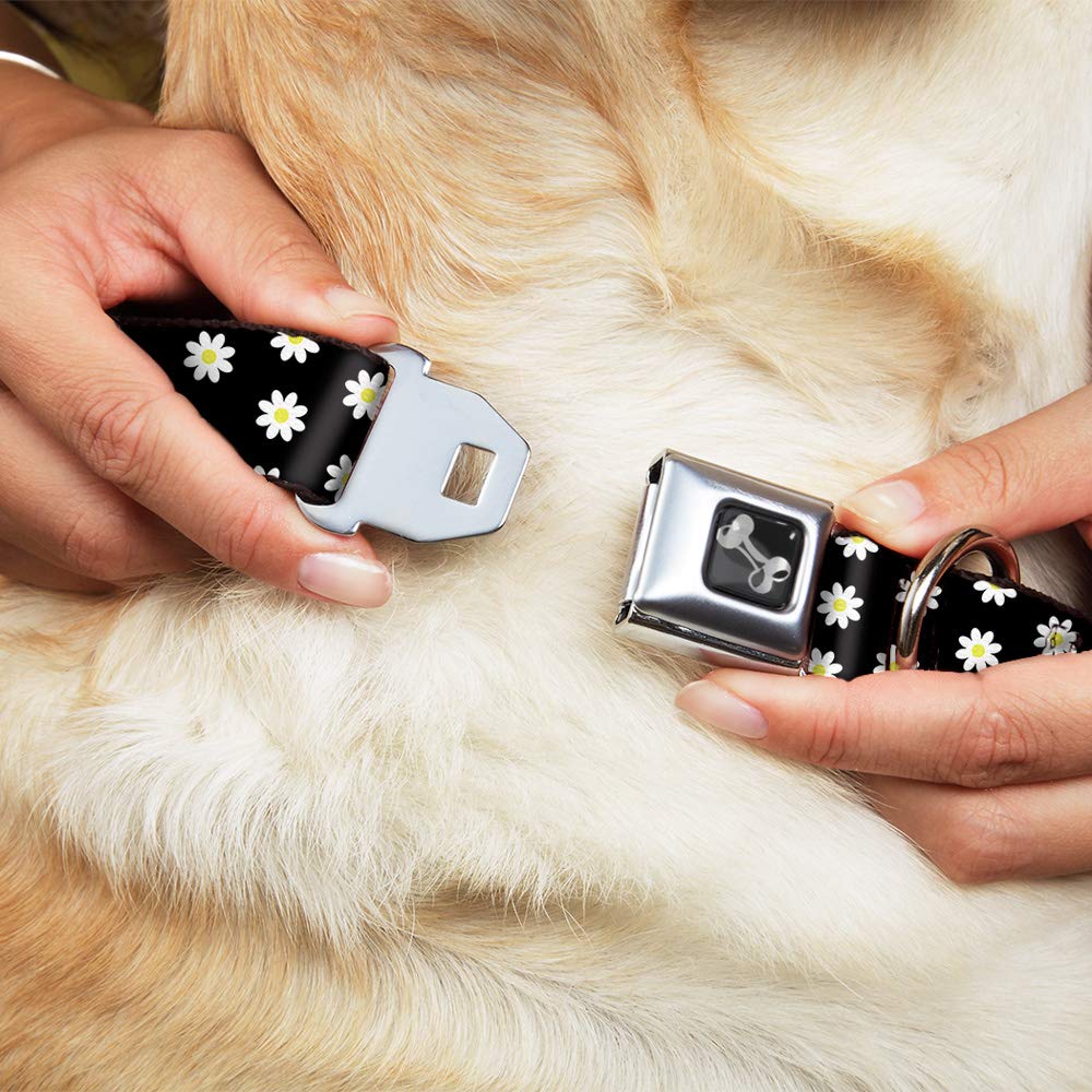 Buckle-Down Dog Collar Seatbelt Buckle Daisies Scattered Black White Yellow 15 To 26 Inches 1.0 Inch Wide (Dc-W33036-L)