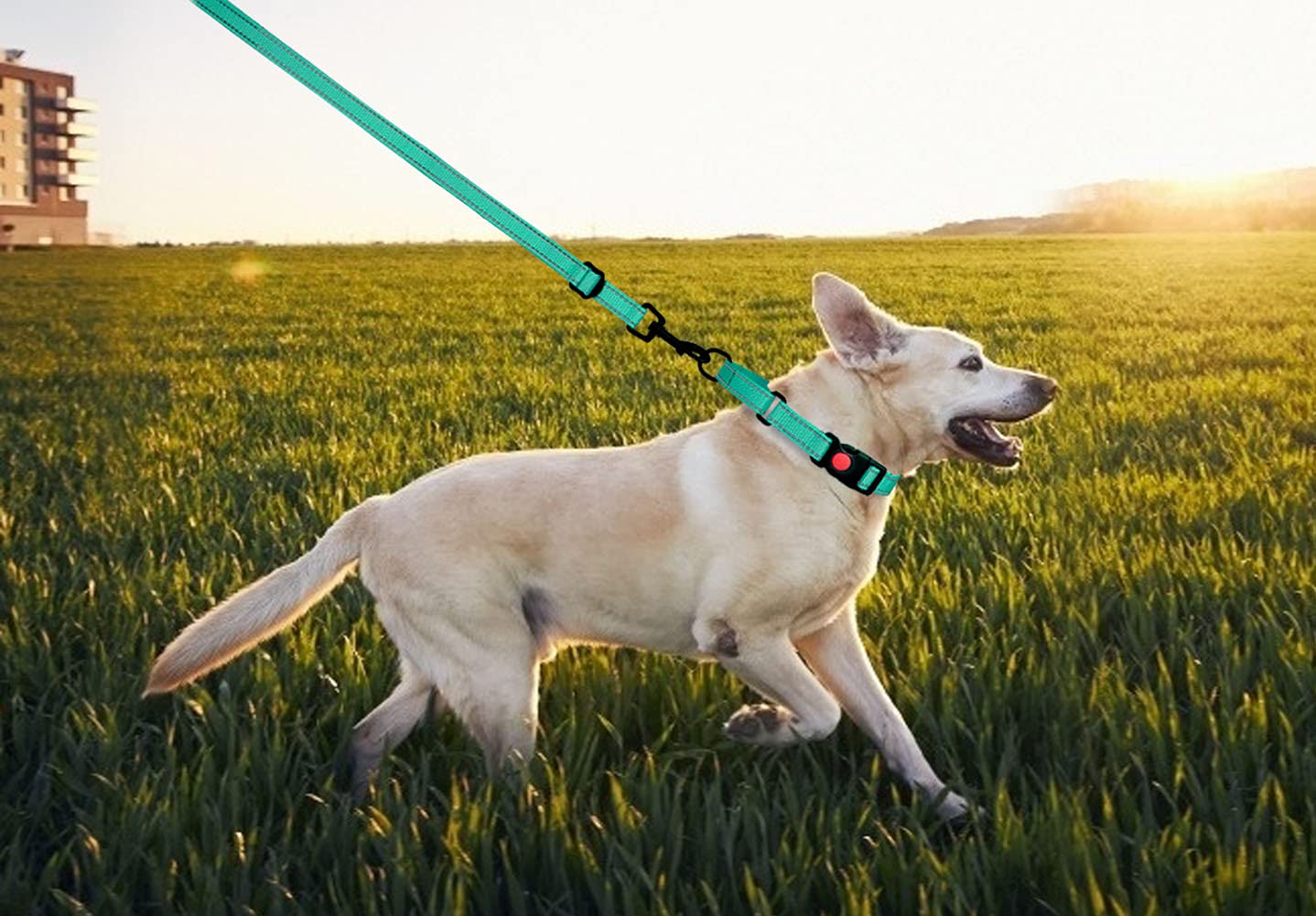 Martingale Dog Collar And Leash Set Martingale Collars For Dogs Reflective Martingale Collar For Small Medium Large Dogs(Mint Green&L)