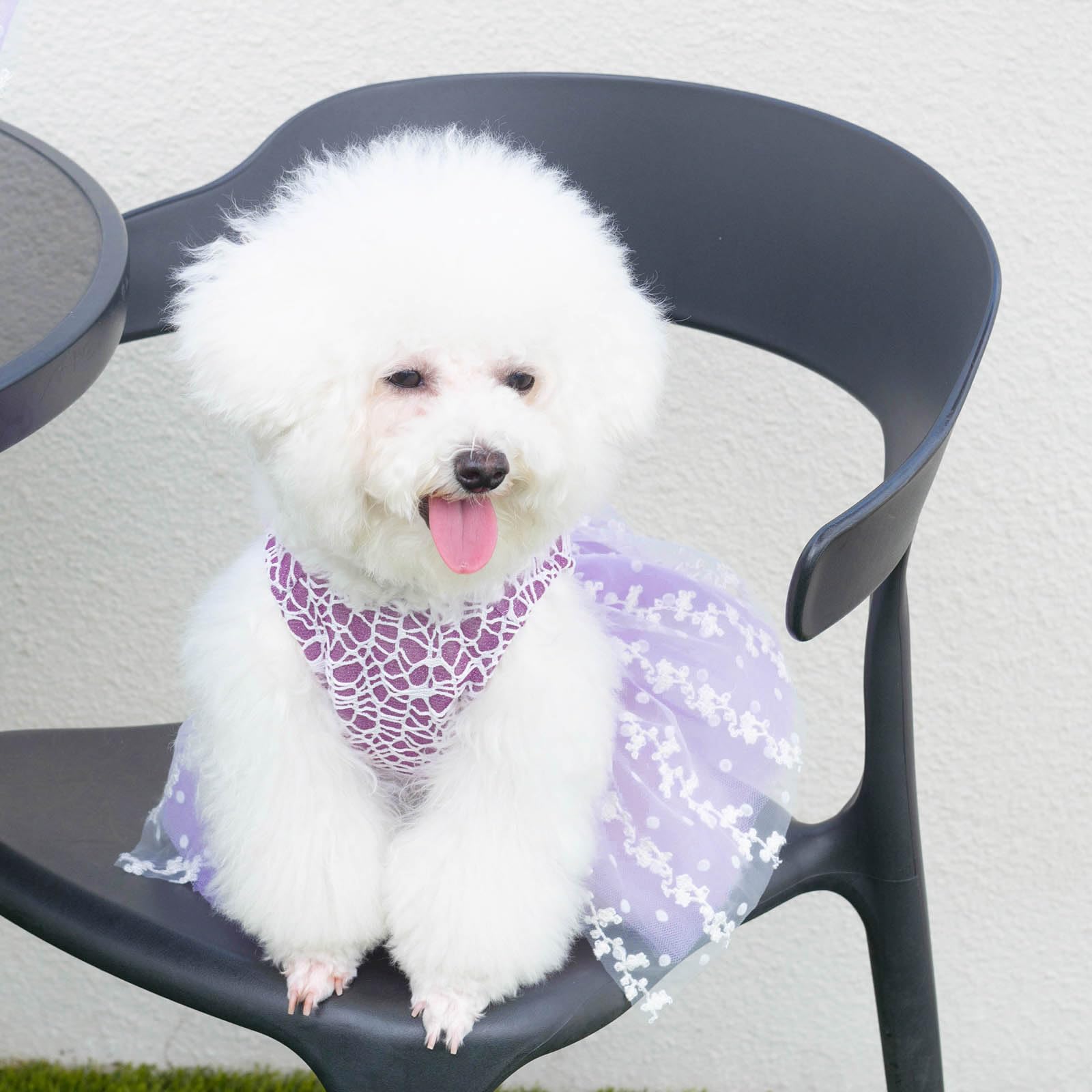 Cutebone Dog Birthday Dress Girl Puppy Skirt Tutu Cat Wedding Outfit Pet Party Clothes For Small Dogs Costume Dd14L