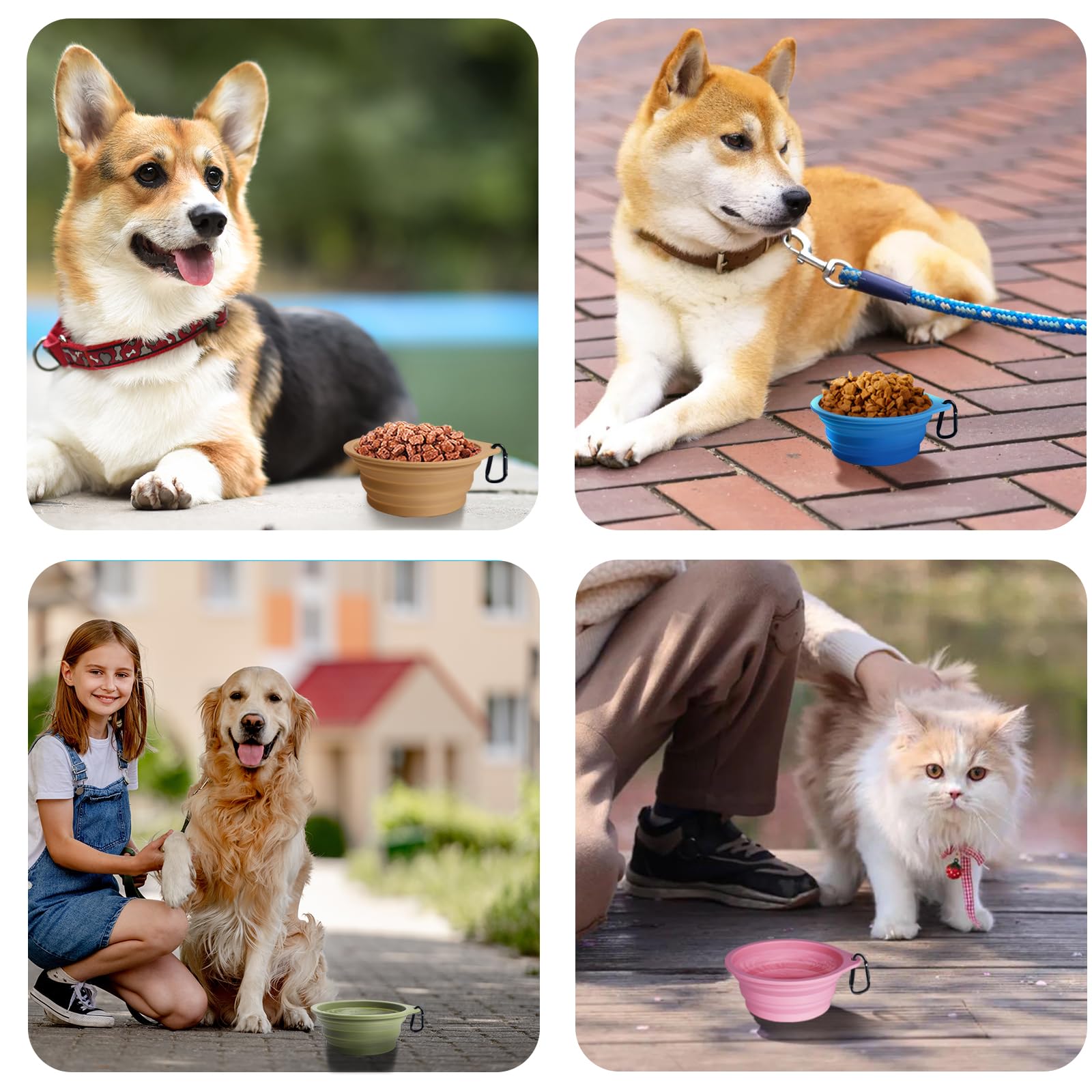 PetBonus 2-Pack Silicone Collapsible Dog Bowls, BPA Free Dishwasher Safe, Portable Foldable Expandable Travel Bowl, Food Water F