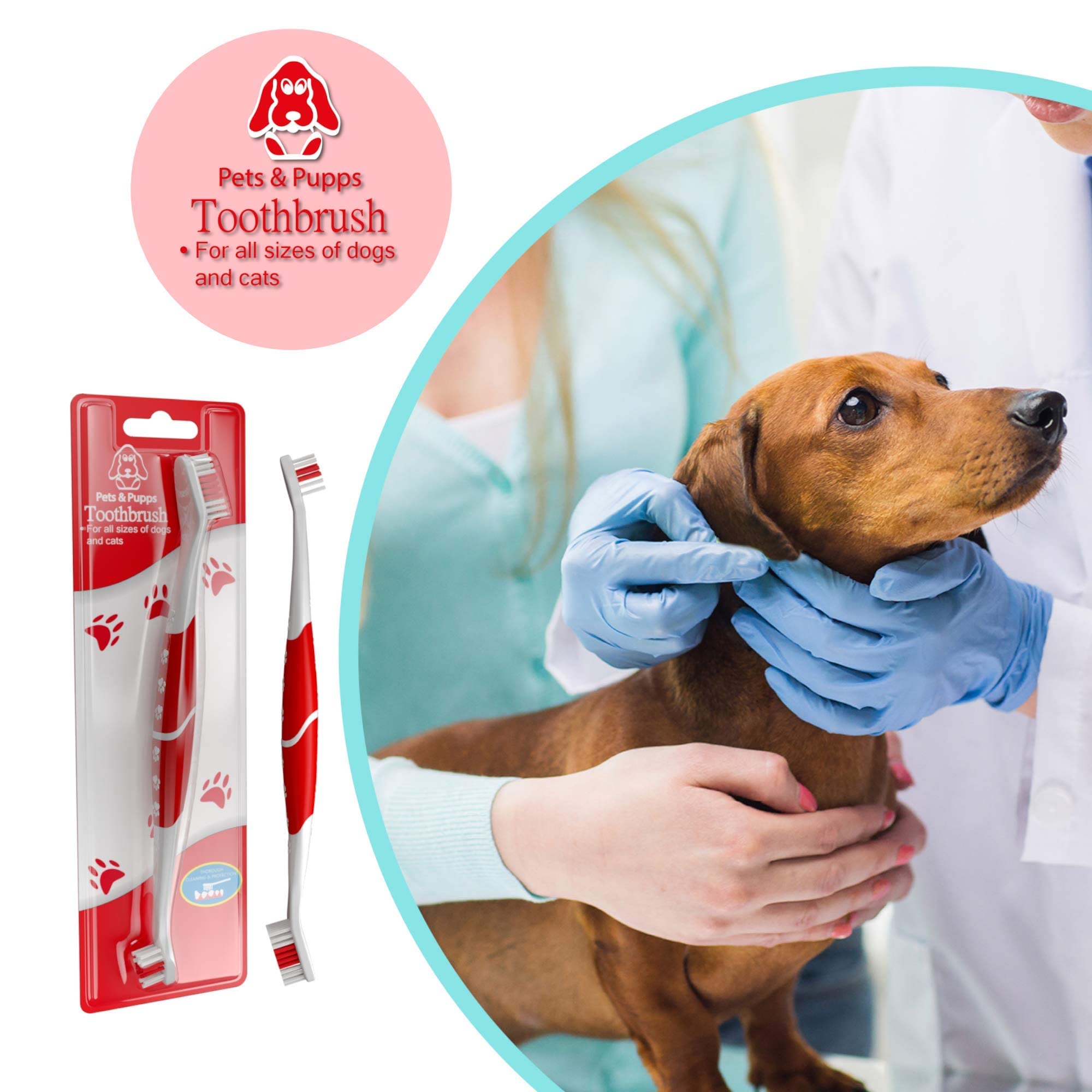 Pets & Pupps Pet Toothbrush for Dogs & Cats, Soft Bristles, Non-Slip Dual Head, Pack of 1, White & Red
